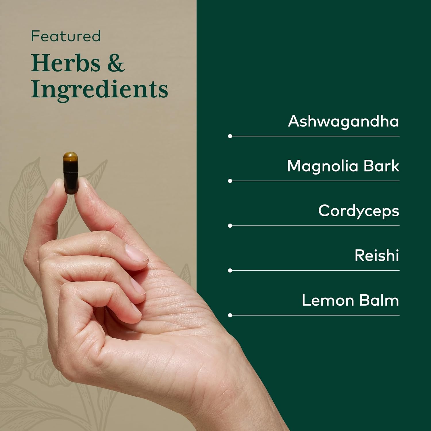 Gaia Herbs Professional Solutions HPA Axis Liquid Capsules for Sleep Cycle - 120 Count