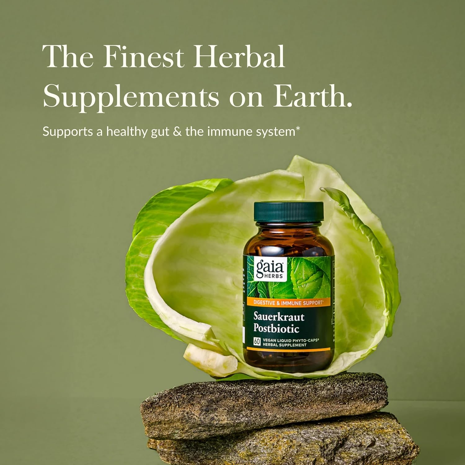 Gaia Herbs Sauerkraut Postbiotic Supplement for Gut Health & Immune Support - 60 Vegan Capsules, Dairy, Soy & Gluten-Free