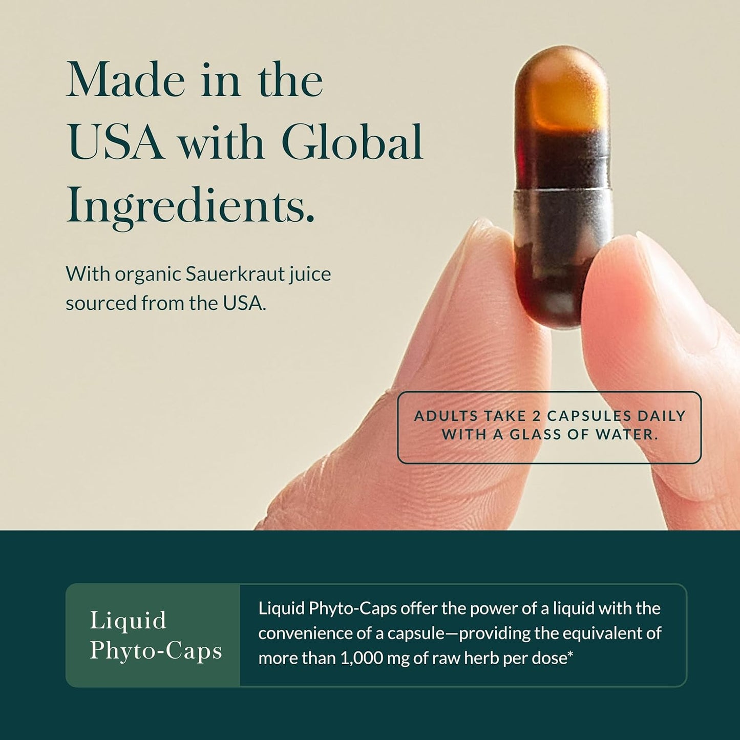 Gaia Herbs Sauerkraut Postbiotic Supplement for Gut Health & Immune Support - 60 Vegan Capsules, Dairy, Soy & Gluten-Free