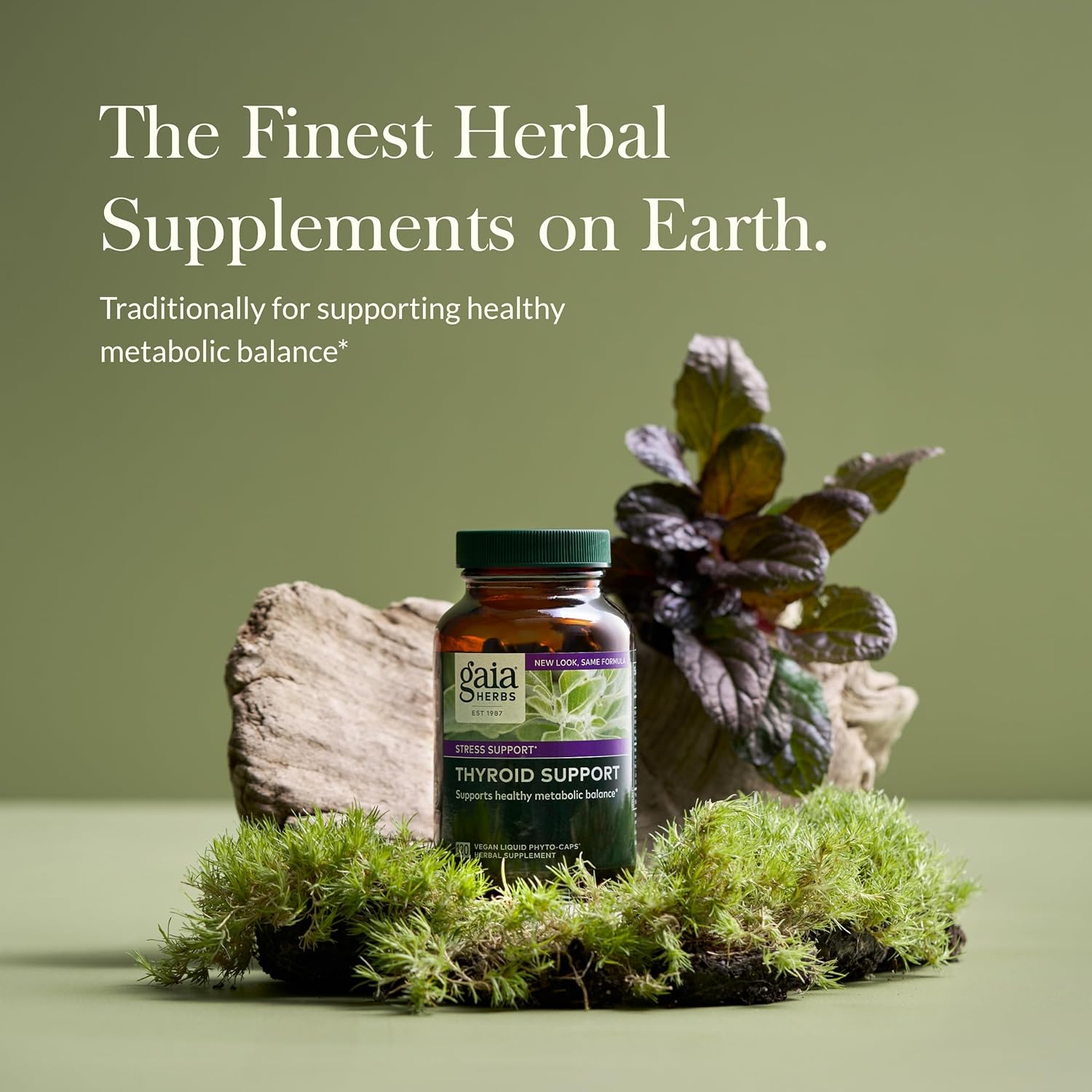 Gaia Herbs Thyroid Support: Vegan Liquid Phyto-Capsules with Ashwagandha, Kelp, Brown Seaweed, Schisandra - 40-Day Supply for Metabolic Balance