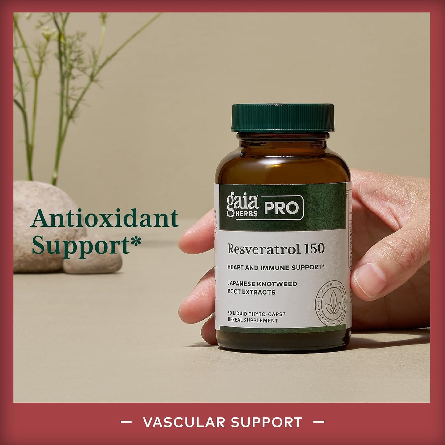 Gaia PRO Resveratrol 150 by Gaia Herbs - High-Quality Resveratrol Supplement