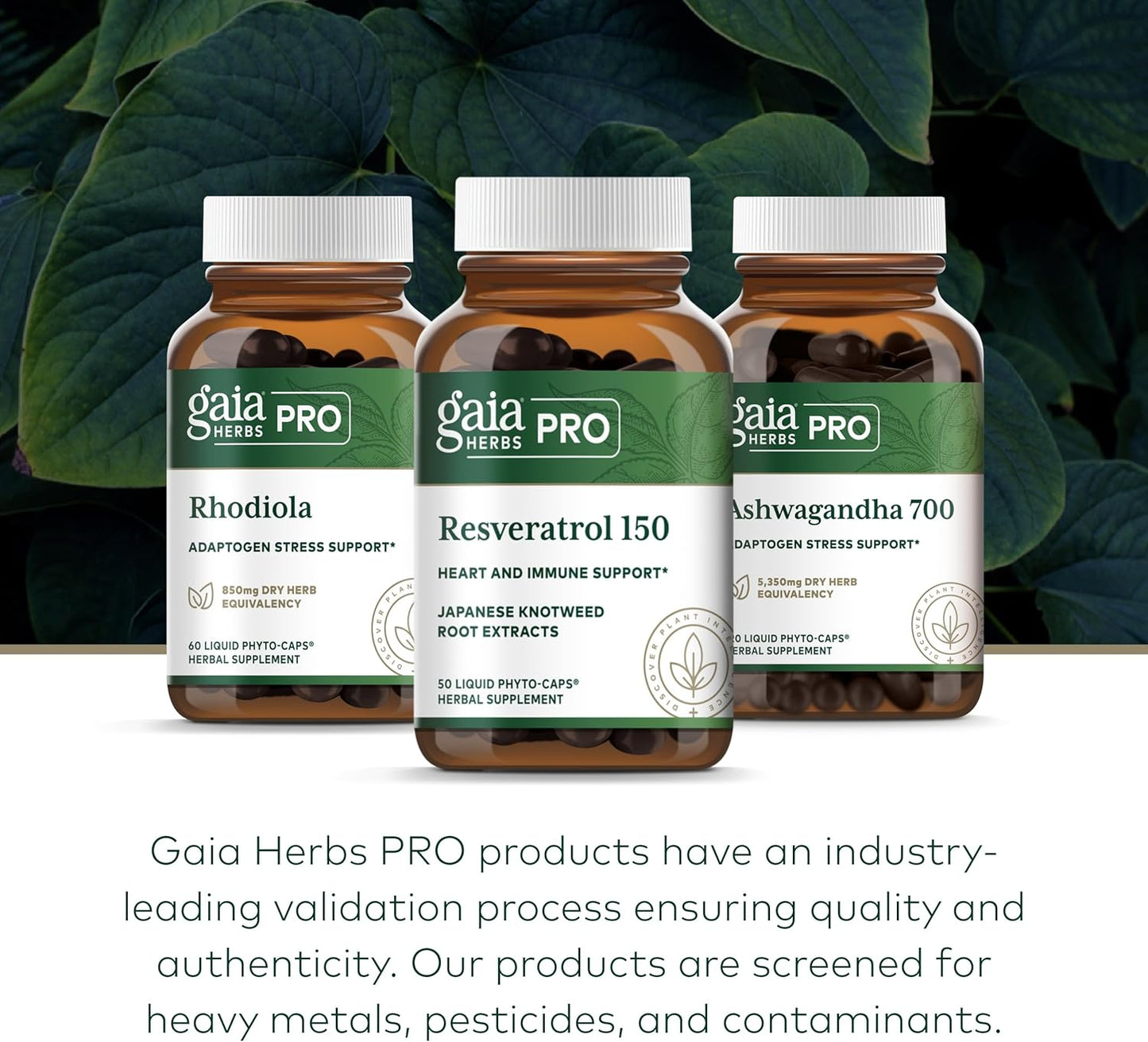 Gaia PRO Resveratrol 150 by Gaia Herbs - High-Quality Resveratrol Supplement