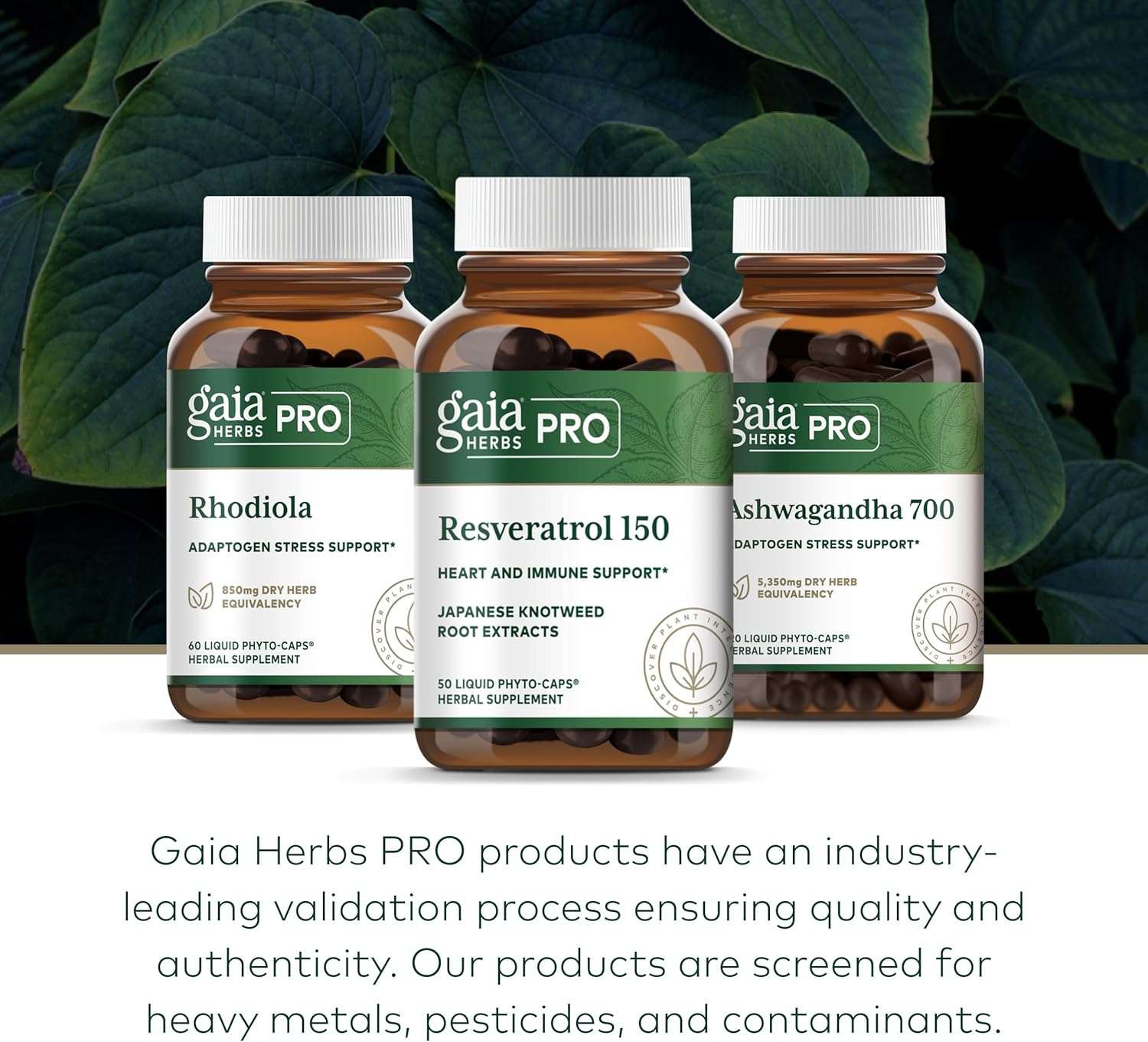 Gaia PRO Resveratrol 150 by Gaia Herbs - High-Quality Resveratrol Supplement