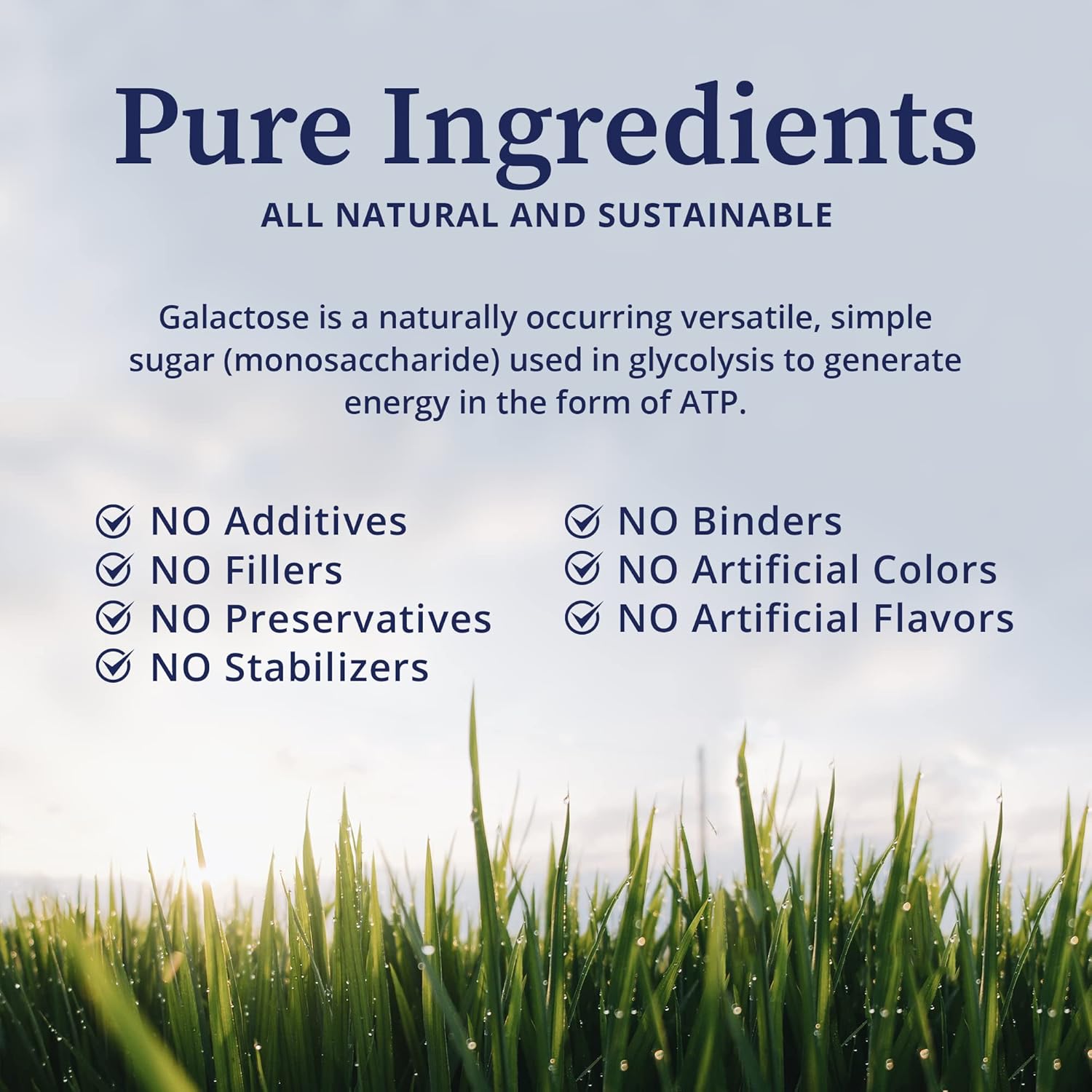 Galactose Dietary Supplement for Cell Development, Energy, Immunity & Kidney Health - 200g