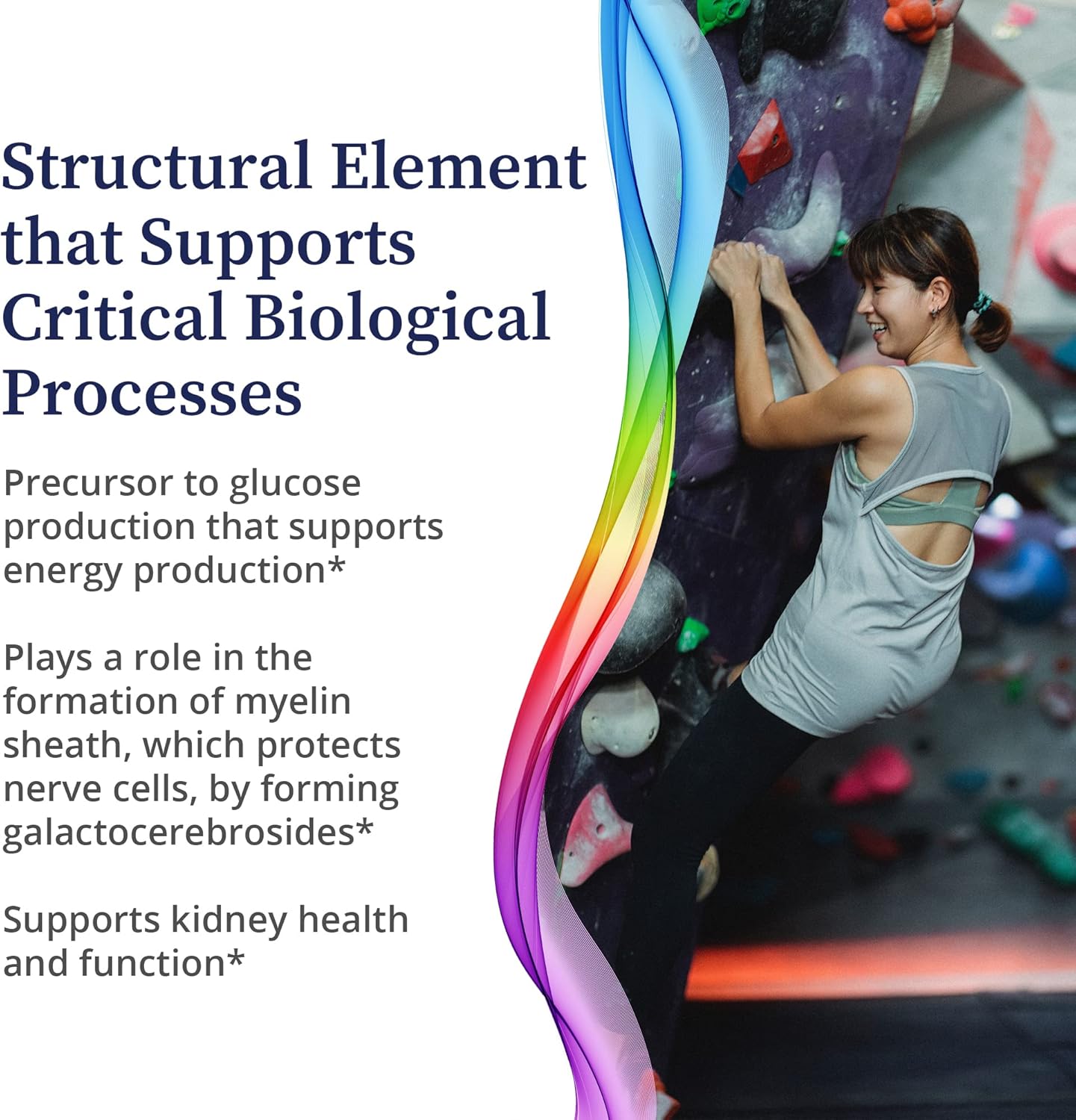 Galactose Dietary Supplement for Cell Development, Energy, Immunity & Kidney Health - 200g