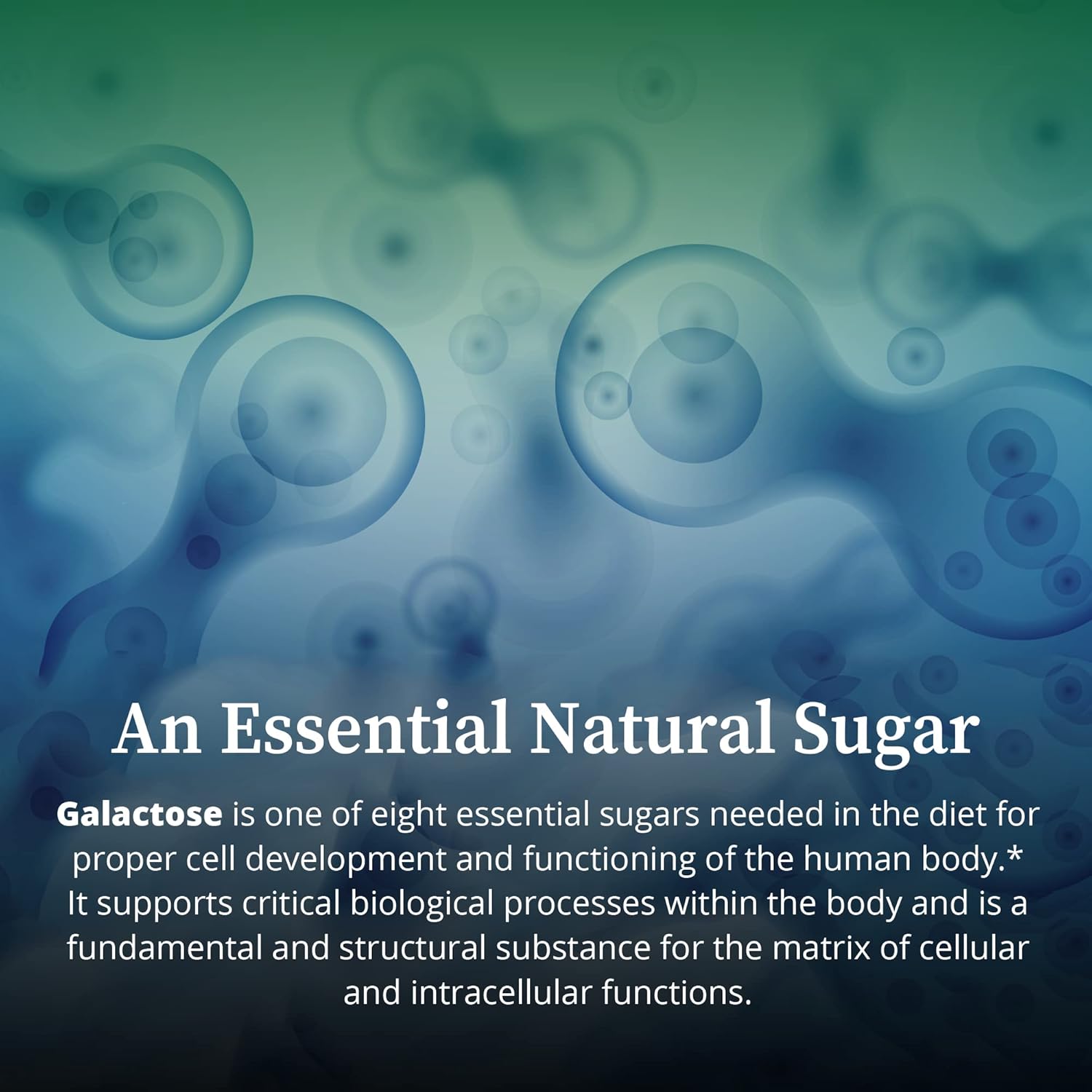 Galactose Dietary Supplement for Cell Development, Energy, Immunity & Kidney Health - 200g