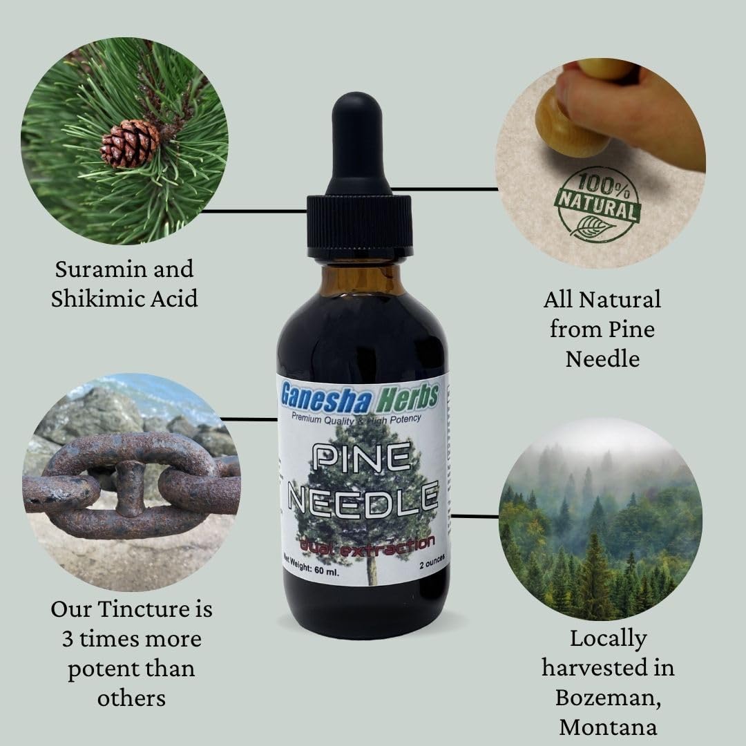Ganesha Herbs Suramax and Pine Needle Complex Tincture with High Shikimic Acid - 2 Oz (2 Pack) - Value Bundle