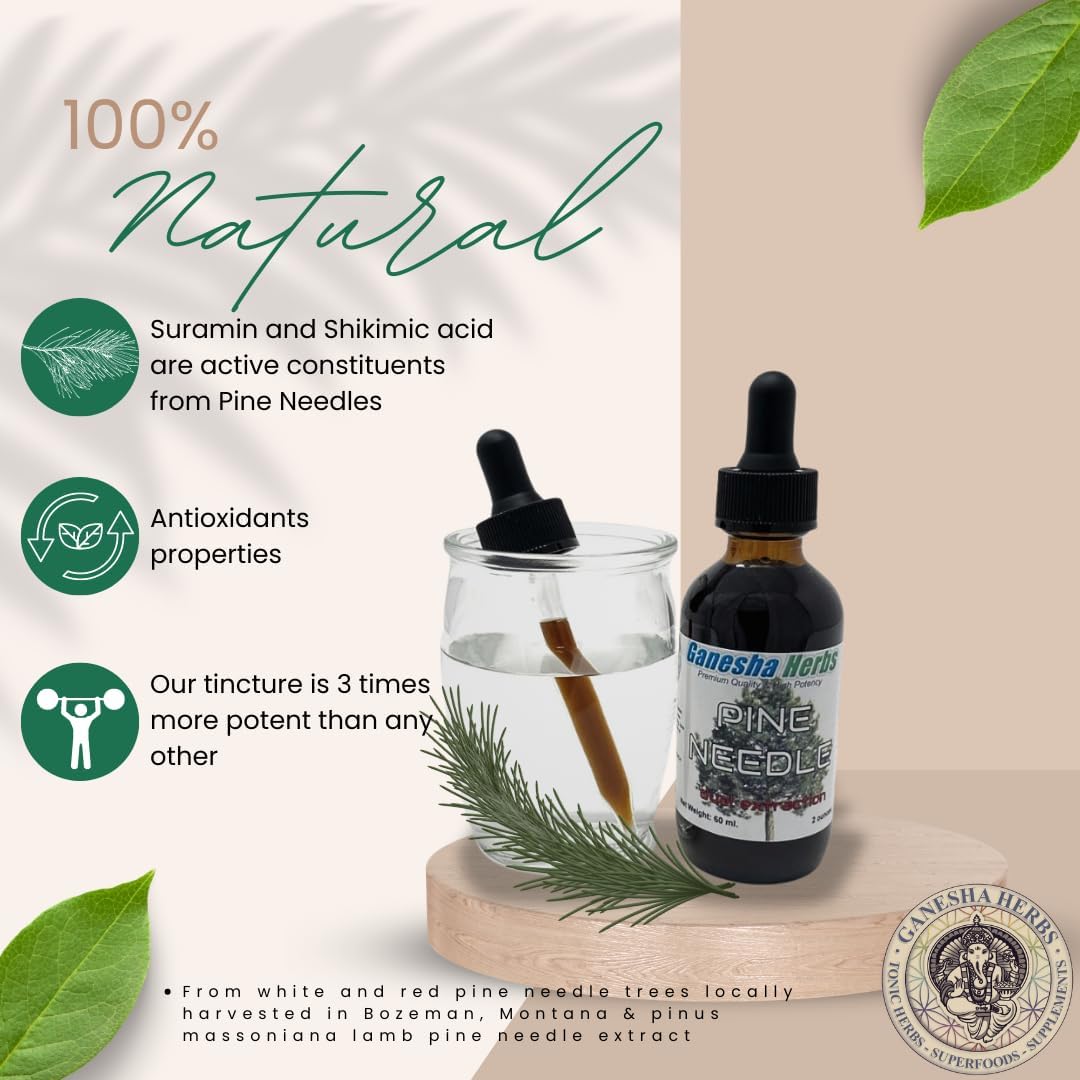 Ganesha Herbs Suramax and Pine Needle Complex Tincture with High Shikimic Acid - 2 Oz (2 Pack) - Value Bundle
