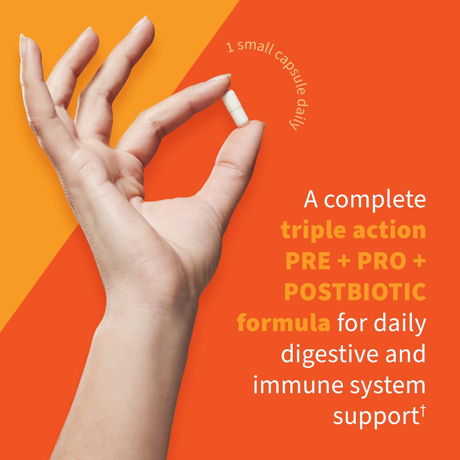 Garden of Life Dr Formulated Probiotics for Digestive & Immune Support - 30 Billion CFU, Pre, Pro, Postbiotics - Men, Women - 30 Veg Caps