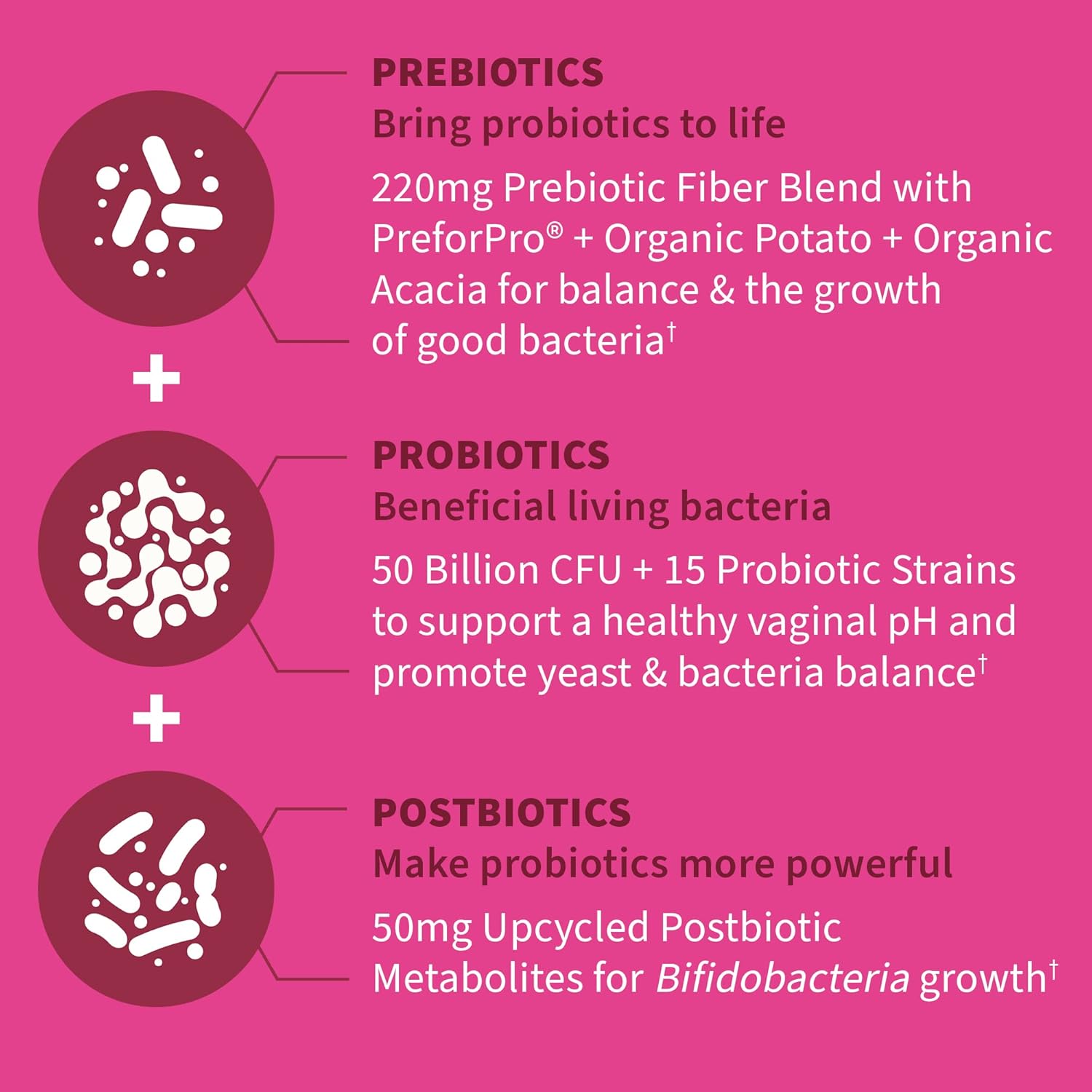 Garden of Life Women's Probiotics - Vaginal & Digestive Health Support - 50 Billion CFU - 30 Day Supply