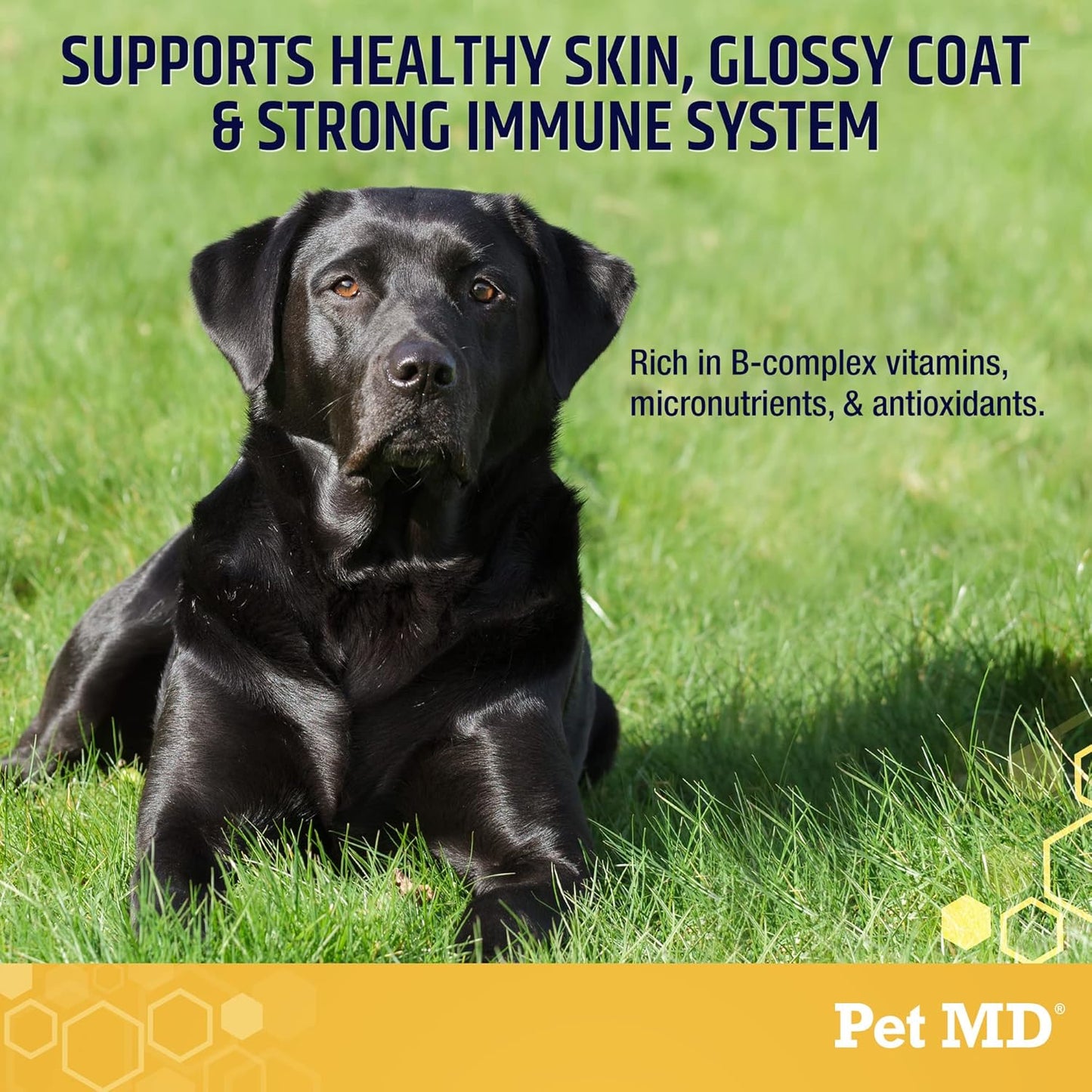 Garlic and Brewer's Yeast Tablets for Dogs and Cats - Antioxidants with Vitamin B1 and C - 500 Count