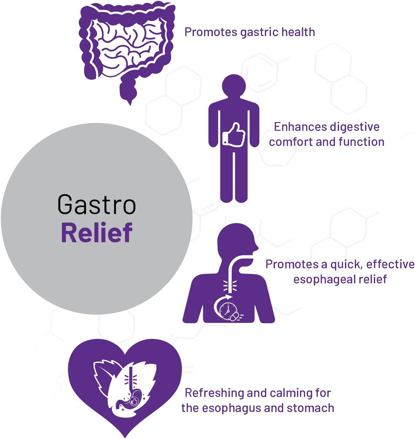 Gastro Relief Supplement with Mastic Gum and Vitamin C - Vegan Capsules for Gastro Health by AOR Advanced Orthomolecular Research, 60ct