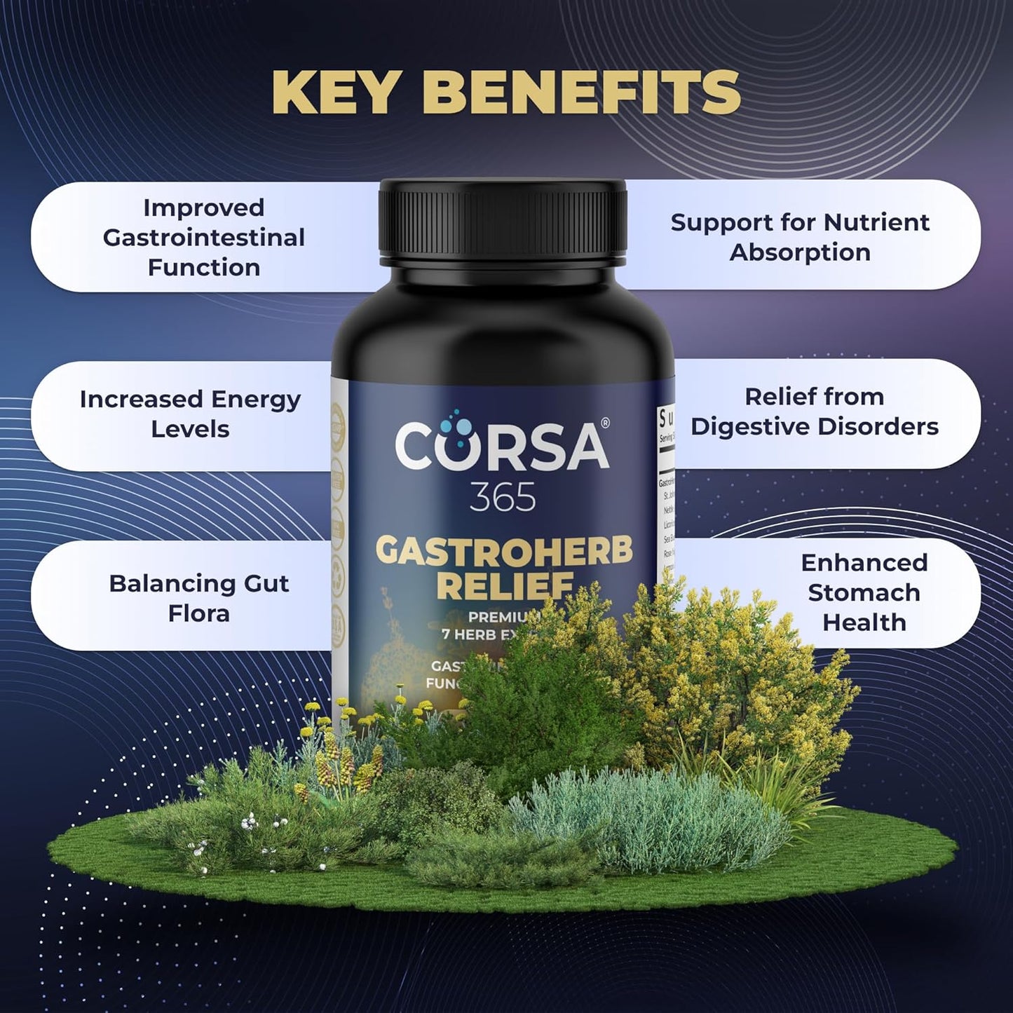 Gastroherb Relief Immune Support Supplement with 7 Herbs Extract for Healthy Digestion and Gut - 90 Softgels for Men and Women