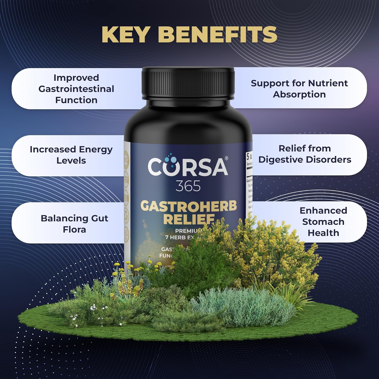 Gastroherb Relief Immune Support Supplement with 7 Herbs Extract for Healthy Digestion and Gut - 90 Softgels for Men and Women