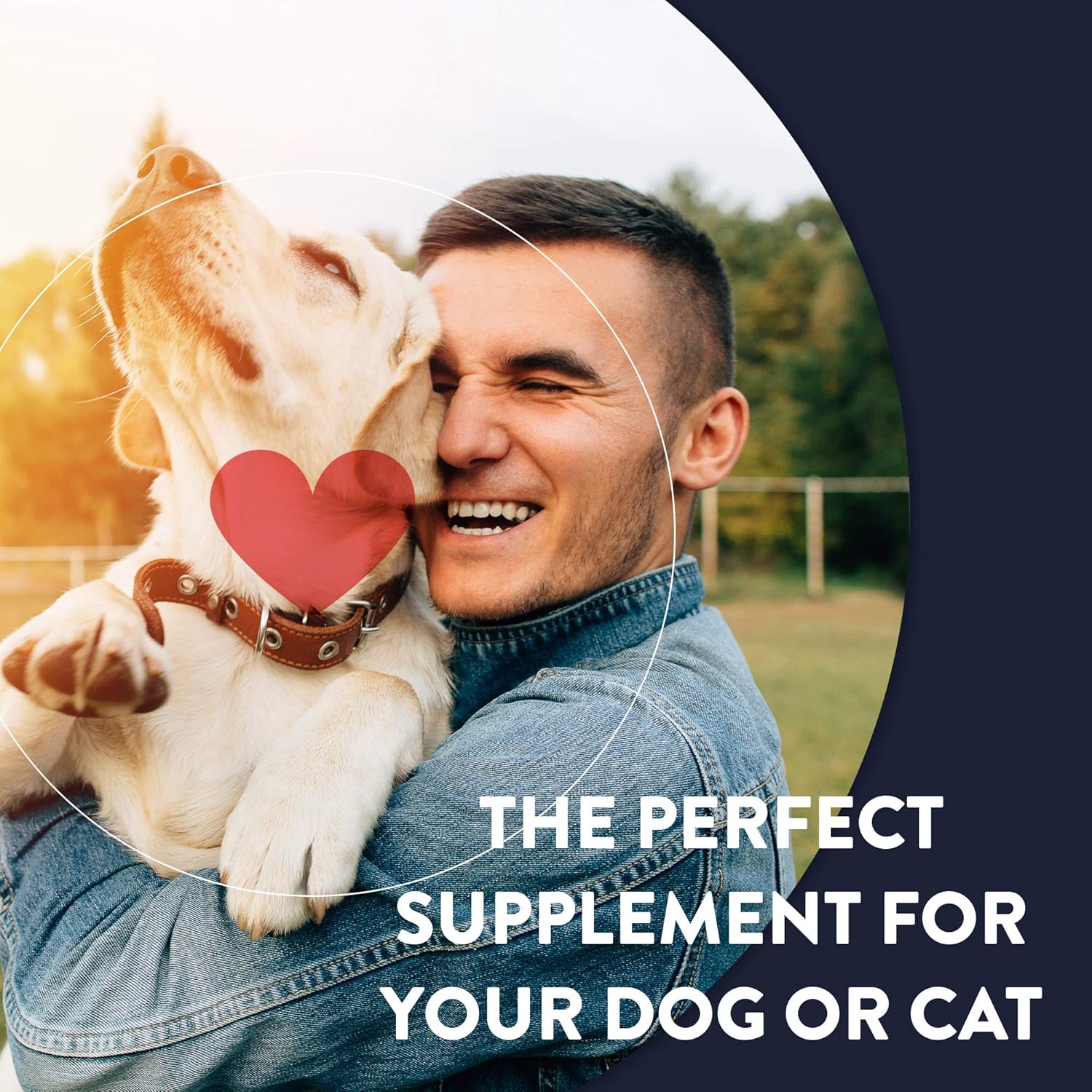 Geneflora for Pets ActivHealth Digestive Enzymes and Probiotic, 125mg, 240 Servings, Pack of 2