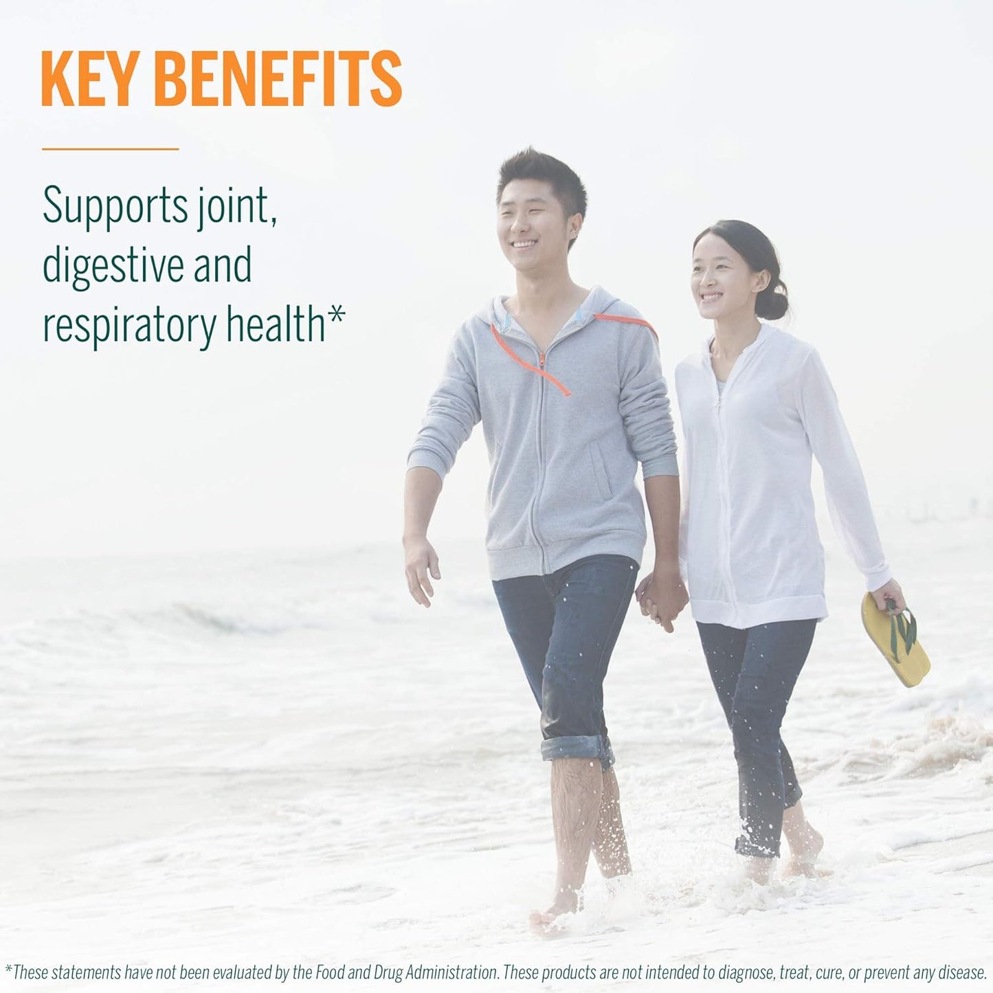 Genestra Brands Black Currant Bud Herbal Supplement 0.5 fl. oz. - Natural Immune Support