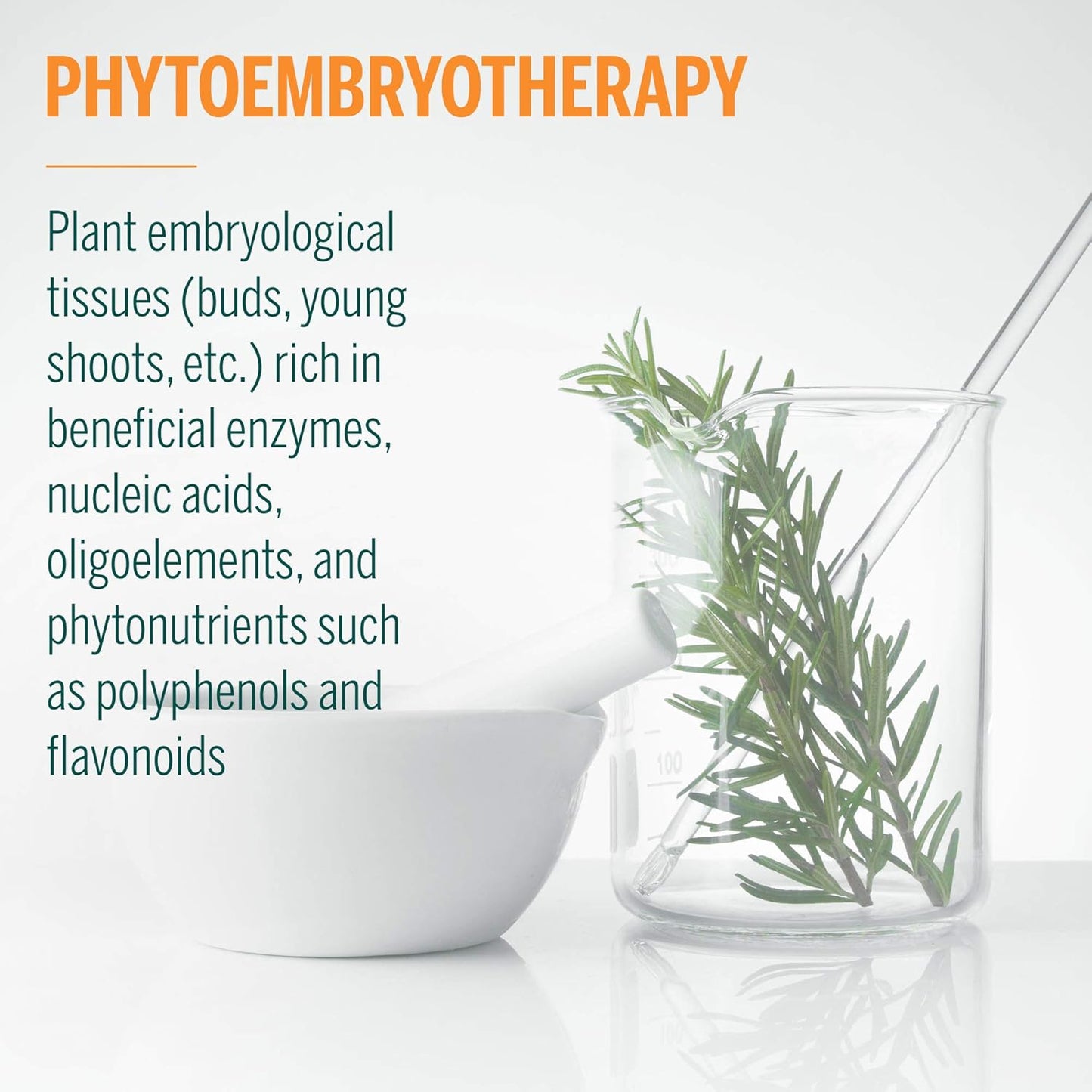 Genestra Brands Black Currant Bud Herbal Supplement 0.5 fl. oz. - Natural Immune Support