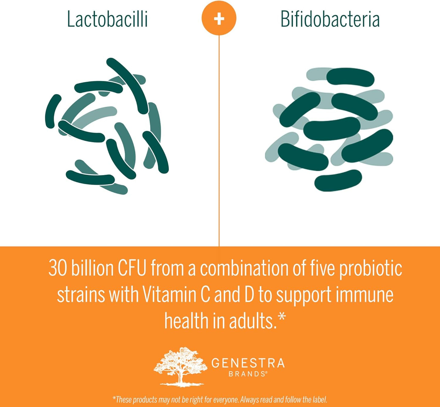 Genestra Brands HMF Immune Chewable Tablets - Probiotic Supplement with Natural Black Currant Flavor - 30 Tablets