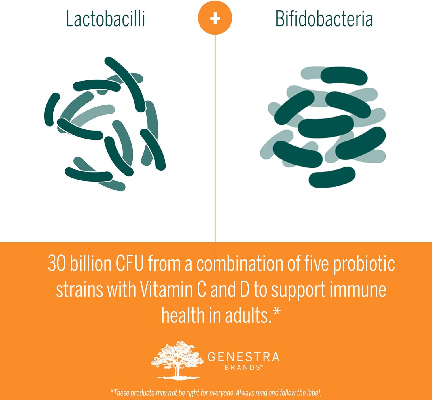 Genestra Brands HMF Immune Chewable Tablets - Probiotic Supplement with Natural Black Currant Flavor - 30 Tablets