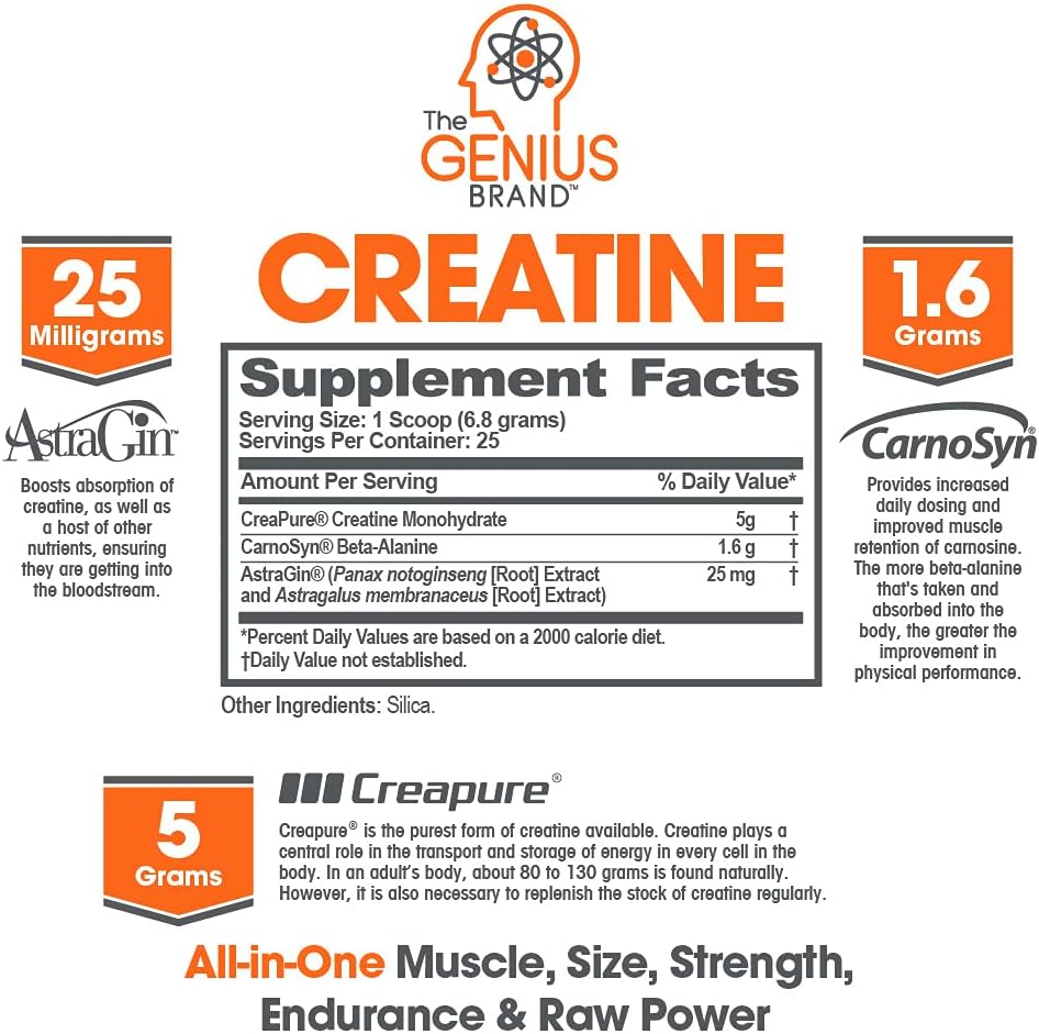 Genius Brand Pre Workout Powder & Micronized Creatine Stack - Grape Flavor & Natural Nootropic Supplement