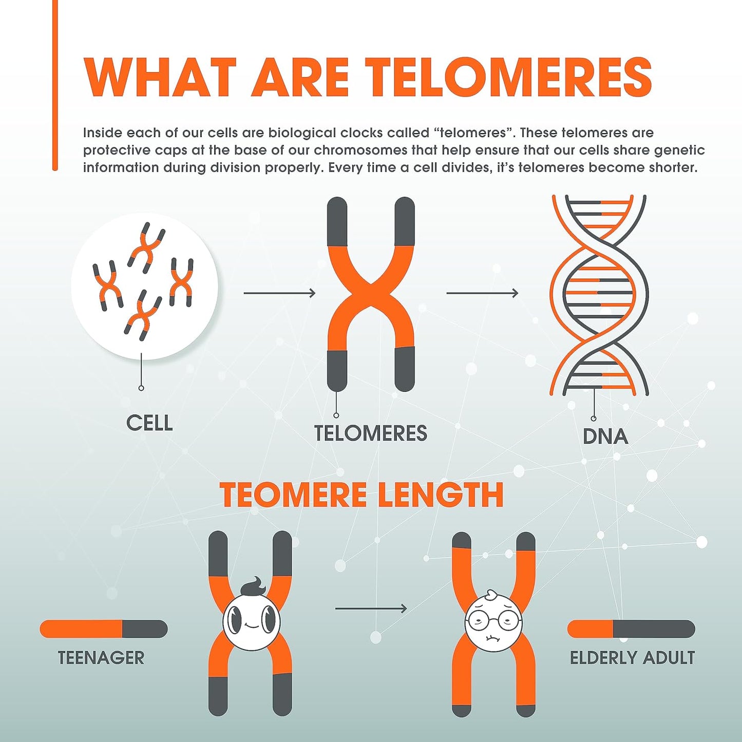 Genius Eternal Anti-Aging Supplement - Telomere Capsules for Longevity & Cellular Repair