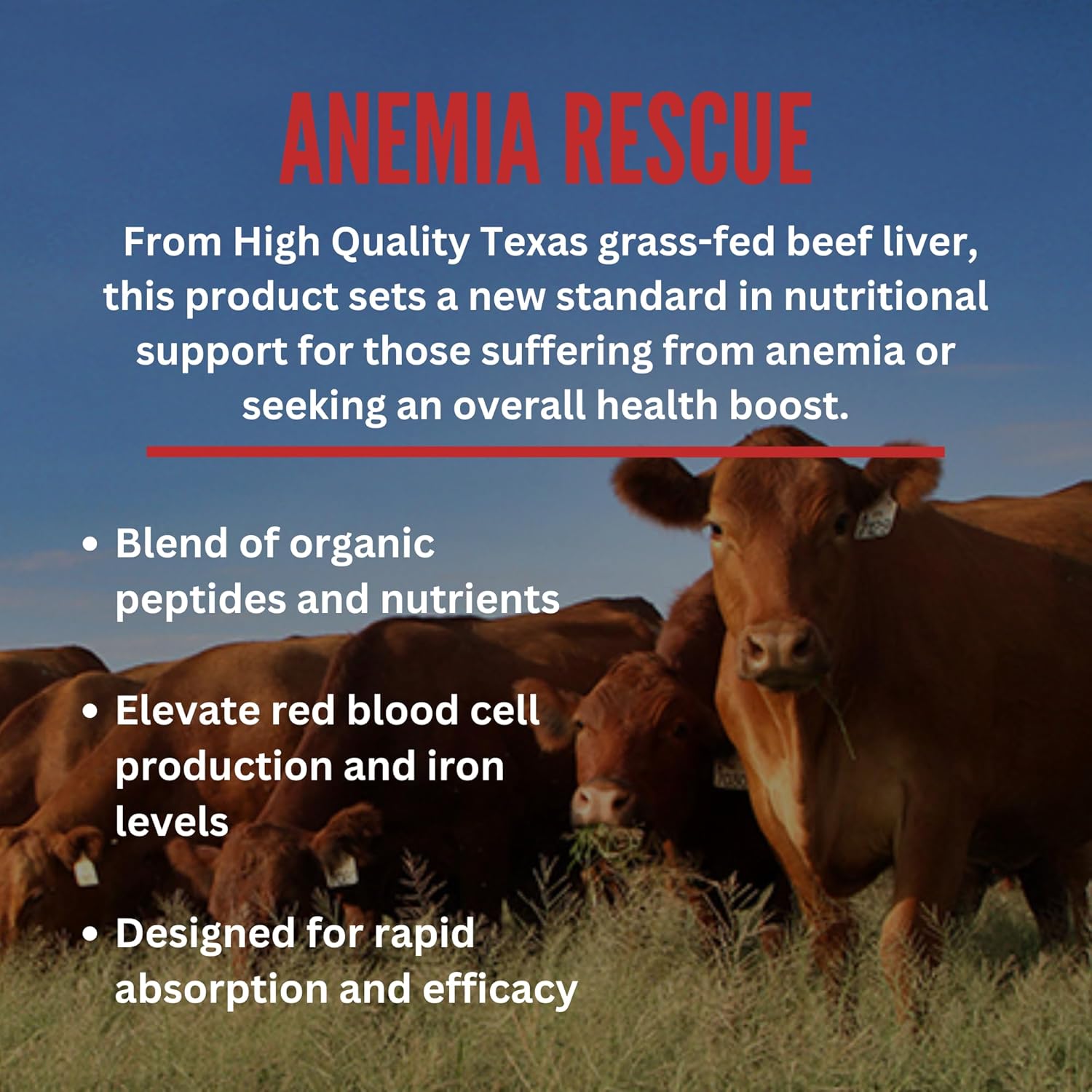 GENOSTIM GS-6 Beef Liver Peptides Supplement for Anemia Rescue, Energy & Blood Support - Grass Fed & Natural