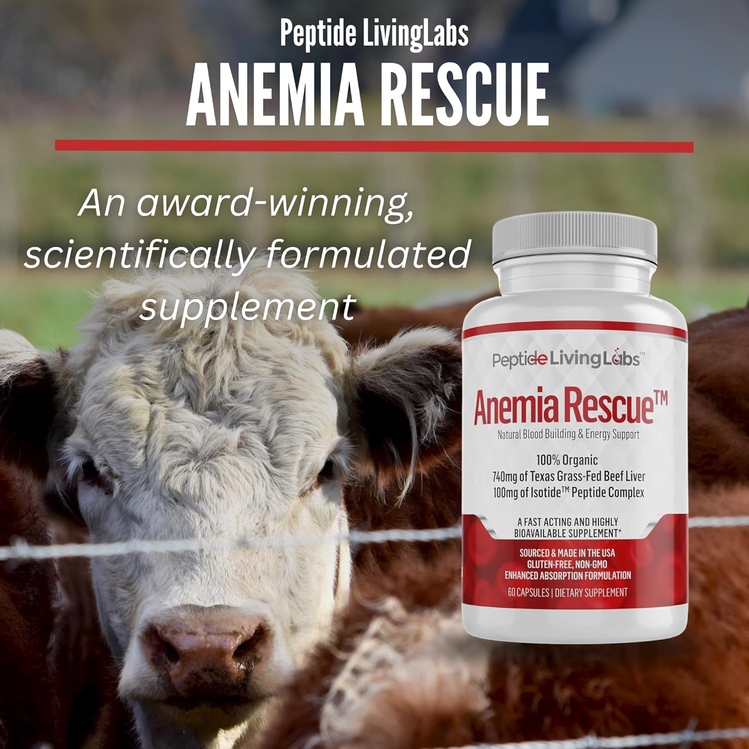 GENOSTIM GS-6 Beef Liver Peptides Supplement for Anemia Rescue, Energy & Blood Support - Grass Fed & Natural