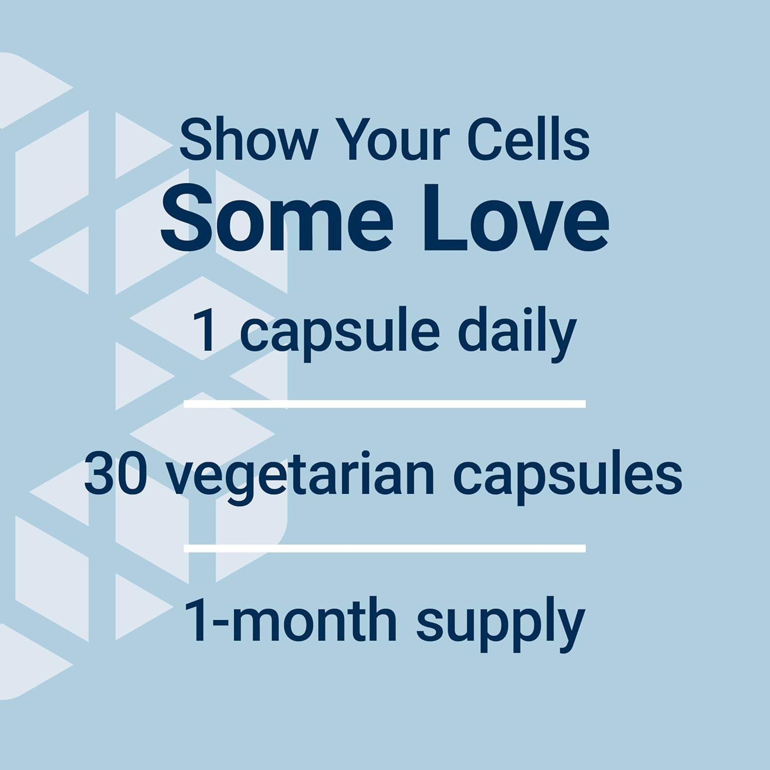 Geroprotect Autophagy Renew Capsules: Cellular Health & Aging Support with Luteolin & Piperlongumine - Gluten-Free, Non-GMO, Vegetarian - 30ct