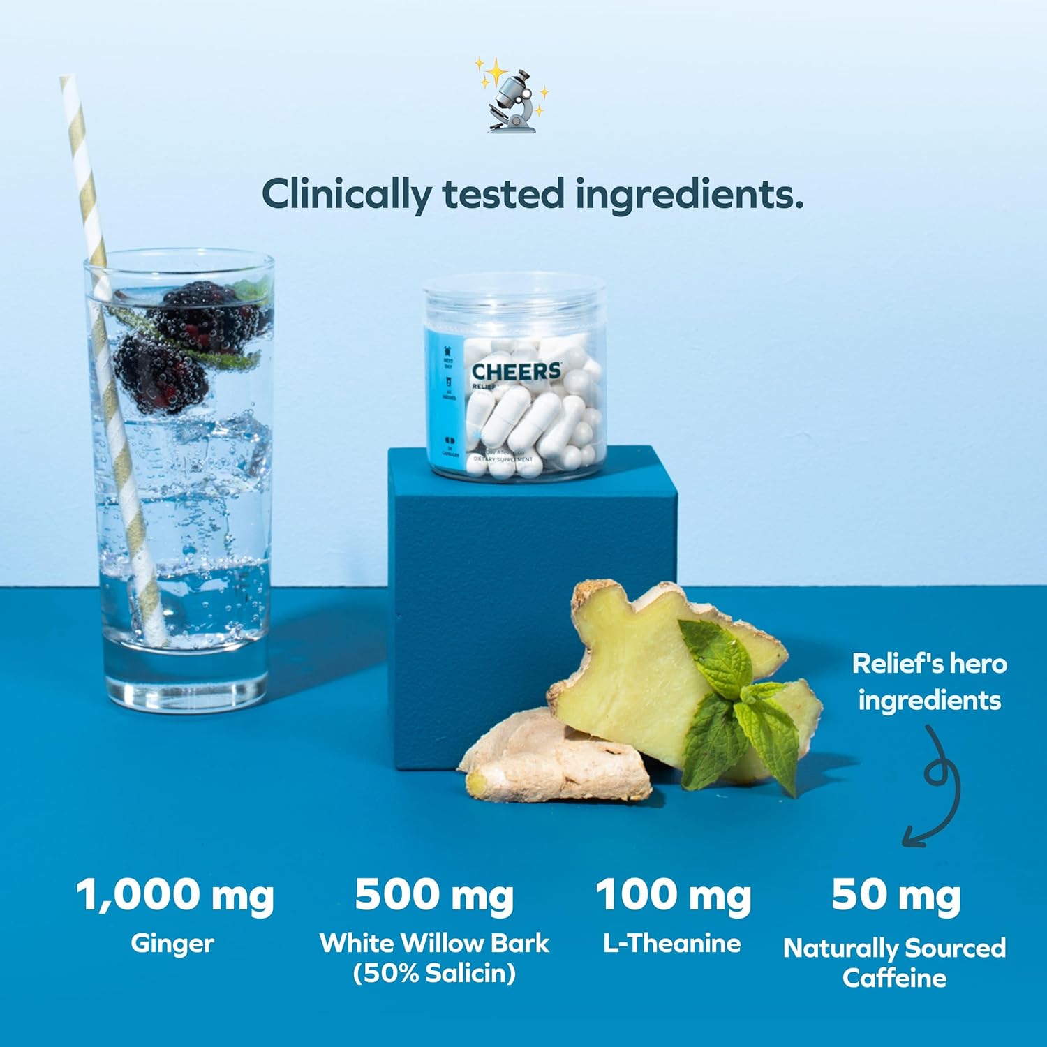 Ginger and White Willow Bark Hangover Relief Supplement | Next-Day Recovery Aid | 36 Doses | L-Theanine, Caffeine | Feel Better Post-Drinking