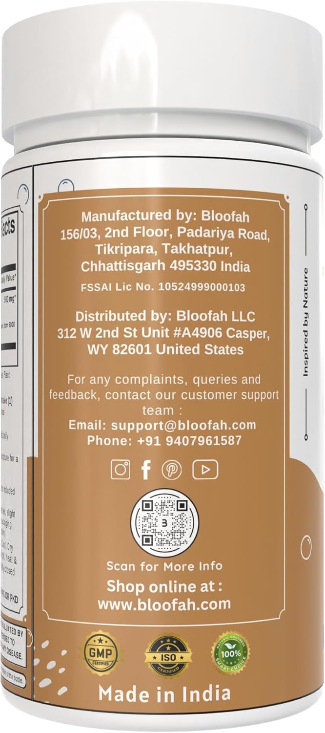 Ginger Root Capsules 500mg | Concentrated 10:1 Extract | Zingiber officinale | High-Potency Herbal Supplement | Non-GMO, Gluten-Free | 120 Count | Easy to Swallow