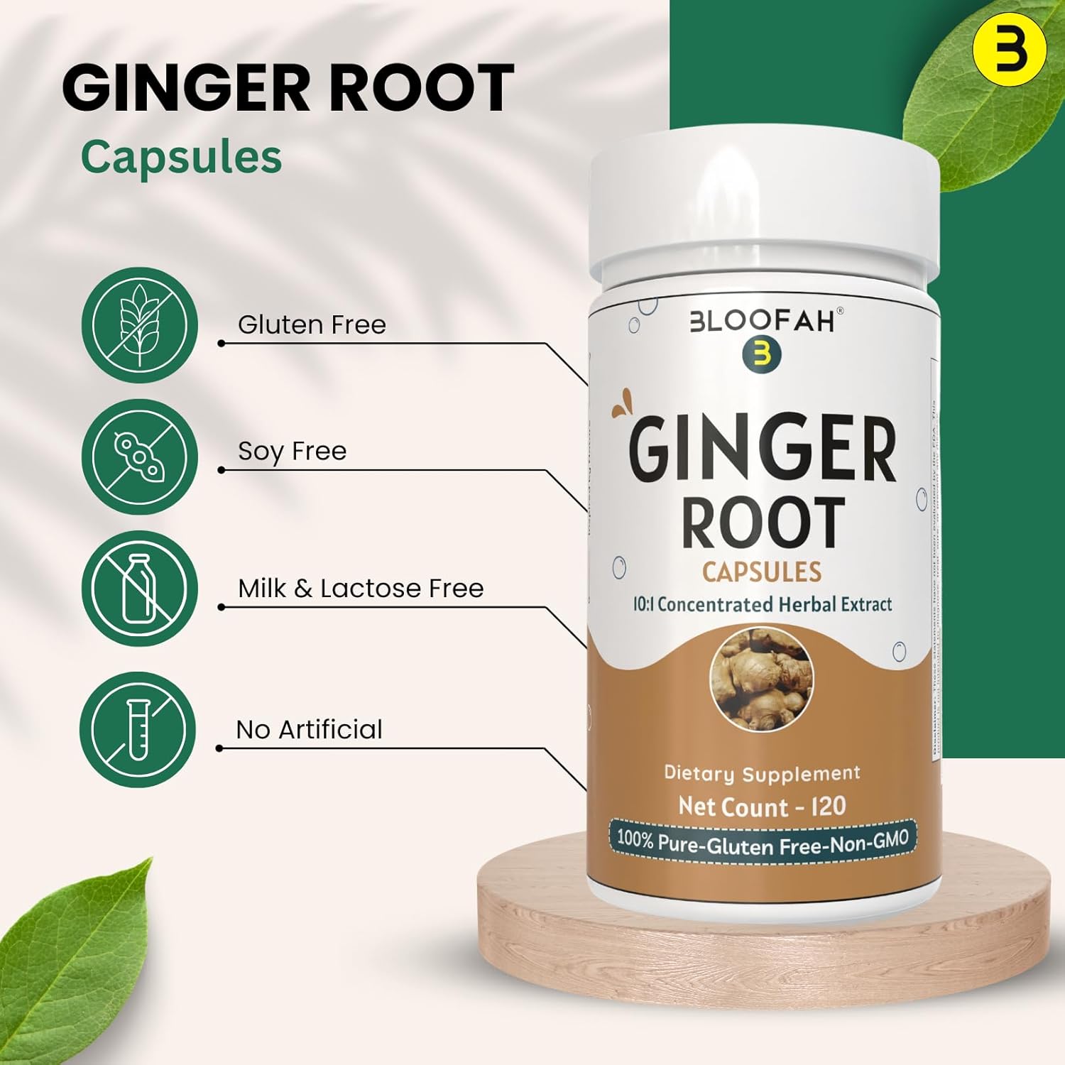 Ginger Root Capsules 500mg | Concentrated 10:1 Extract | Zingiber officinale | High-Potency Herbal Supplement | Non-GMO, Gluten-Free | 120 Count | Easy to Swallow