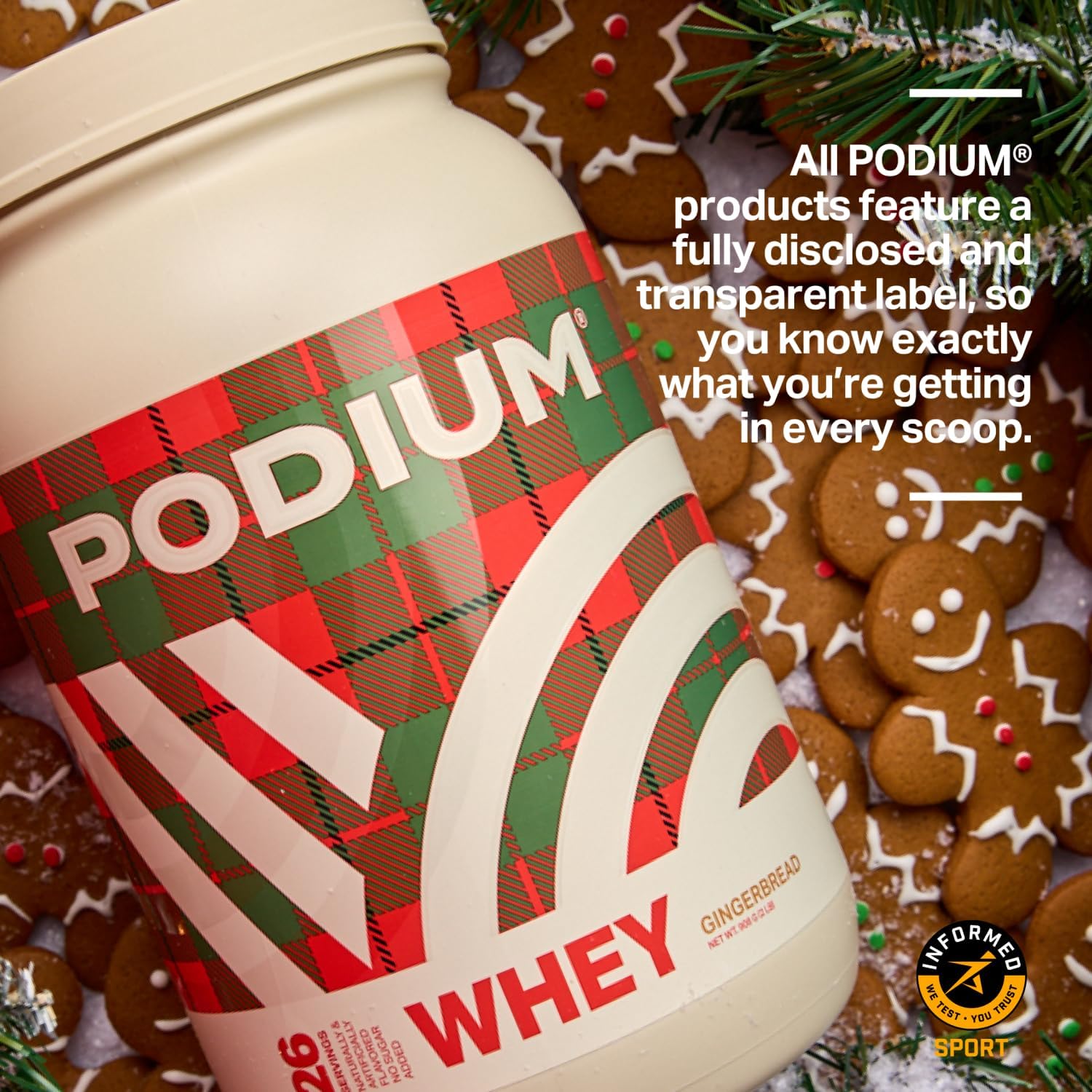 Gingerbread Whey Protein Powder with Digestive Enzymes - 25g Protein Per Serving - Gluten Free - Low Carb & Sugar - 27 Servings