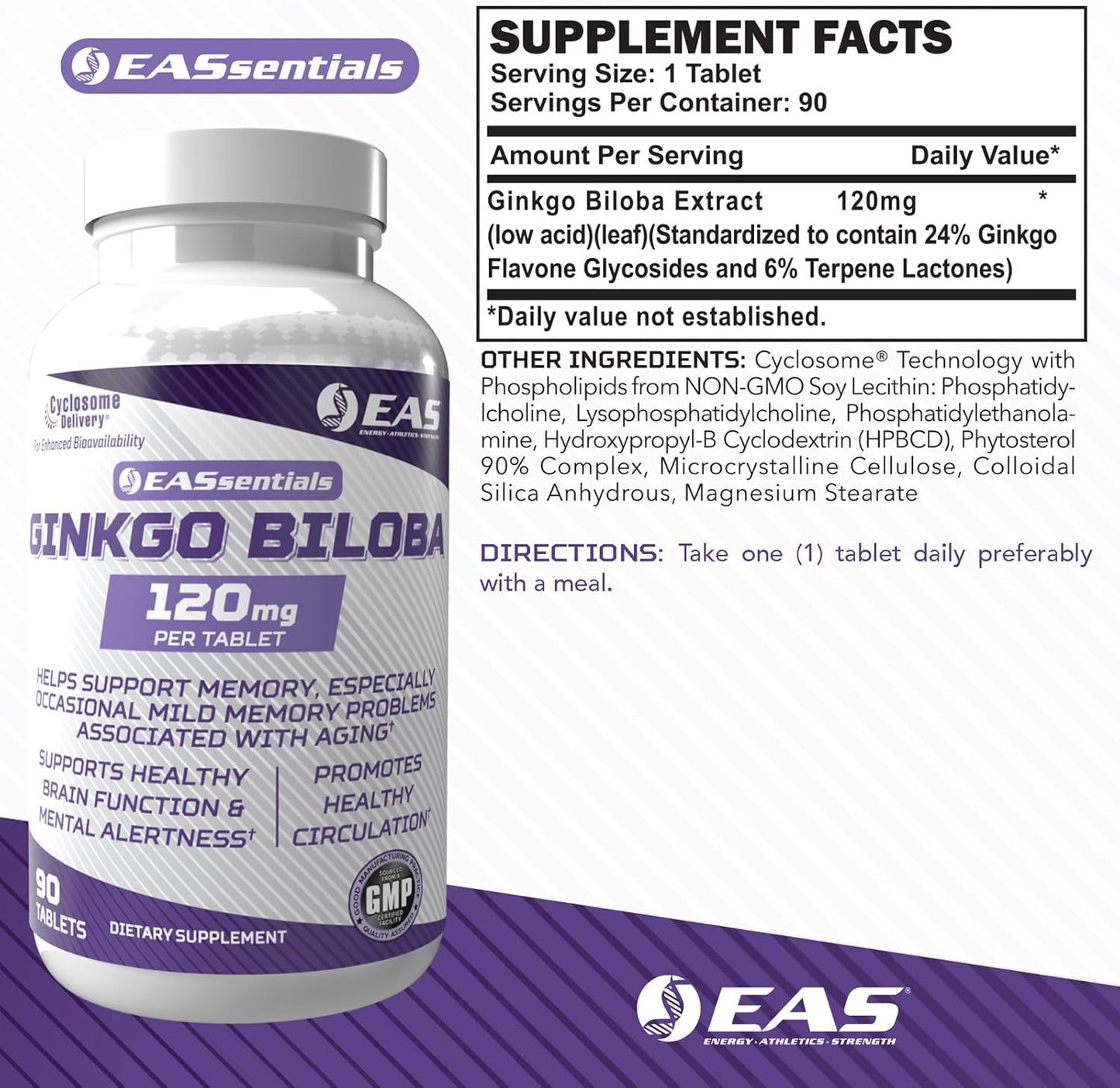 Ginkgo Biloba 120mg Tablets for Brain Function & Memory Support | Enhanced Absorption with Cyclosome Technology | High Flavonoid & Terpenoid Levels | 90 Count