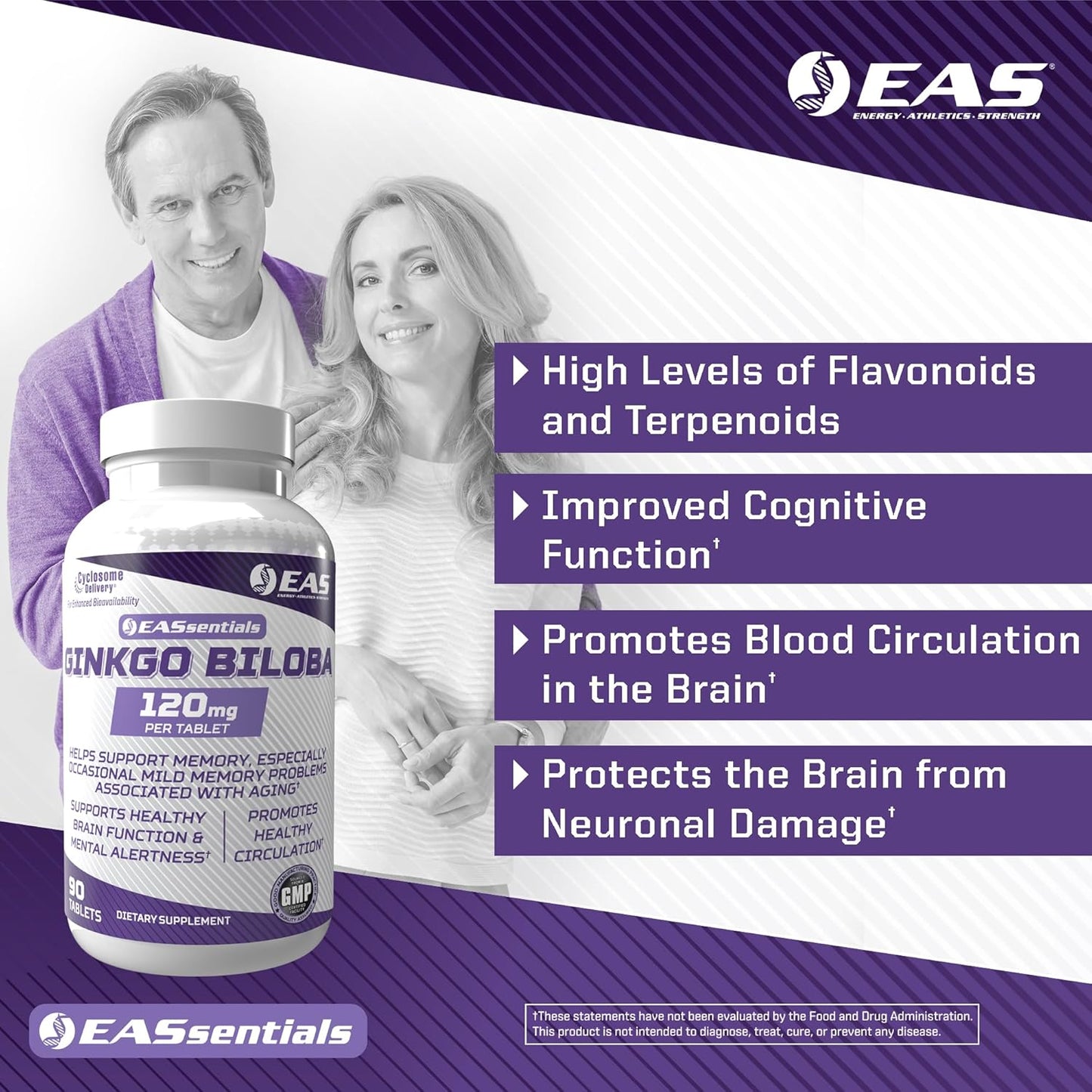 Ginkgo Biloba 120mg Tablets for Brain Function & Memory Support | Enhanced Absorption with Cyclosome Technology | High Flavonoid & Terpenoid Levels | 90 Count