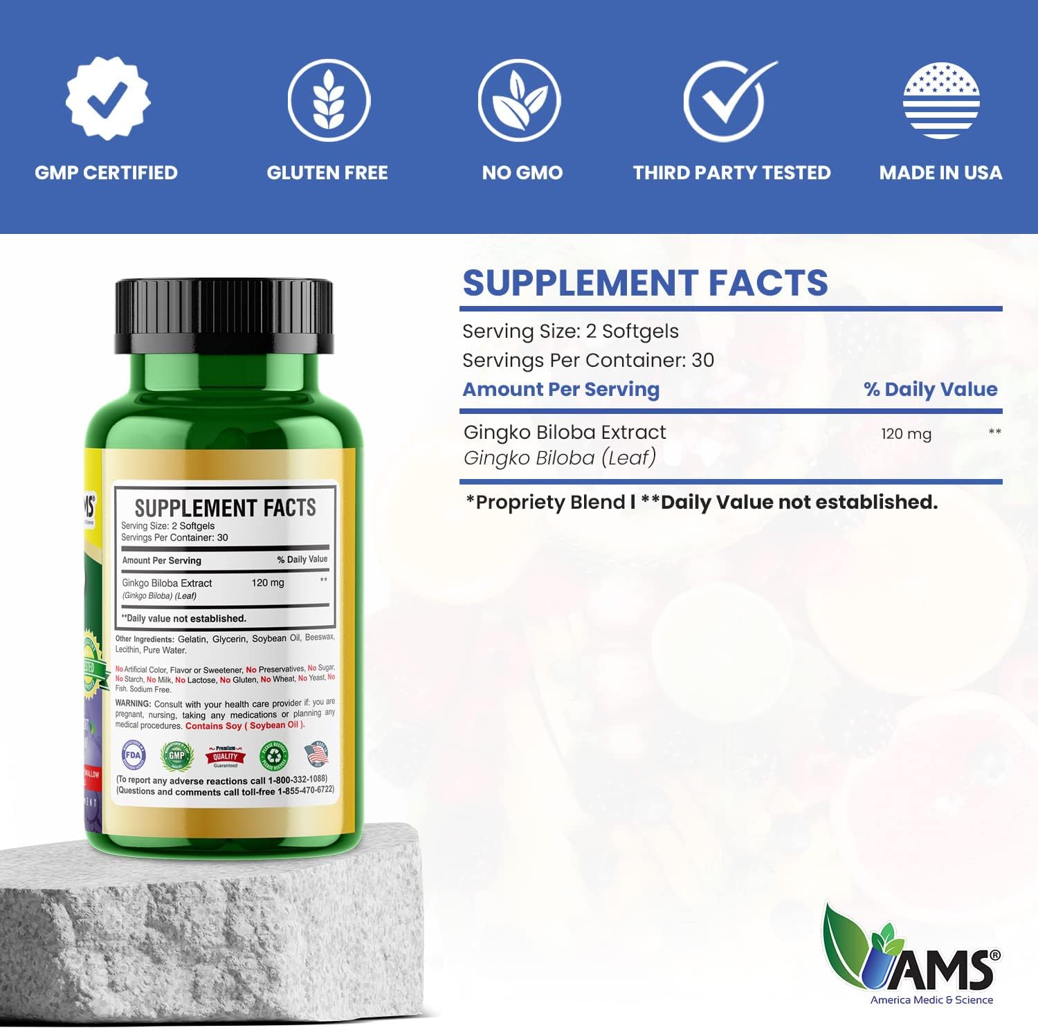 Ginkgo Biloba 60mg Softgels - Brain Booster Supplement for Men and Women - Herbal Leaf Extract Mind Enhancer - America Medic & Science