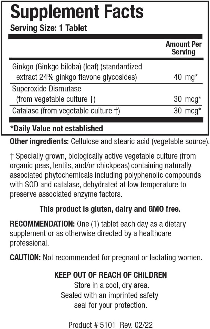 Ginkgo Biloba Brain Supplement with 24% Standardized Extract for Focus, Energy, Memory, Healthy Aging - 60 Tablets.