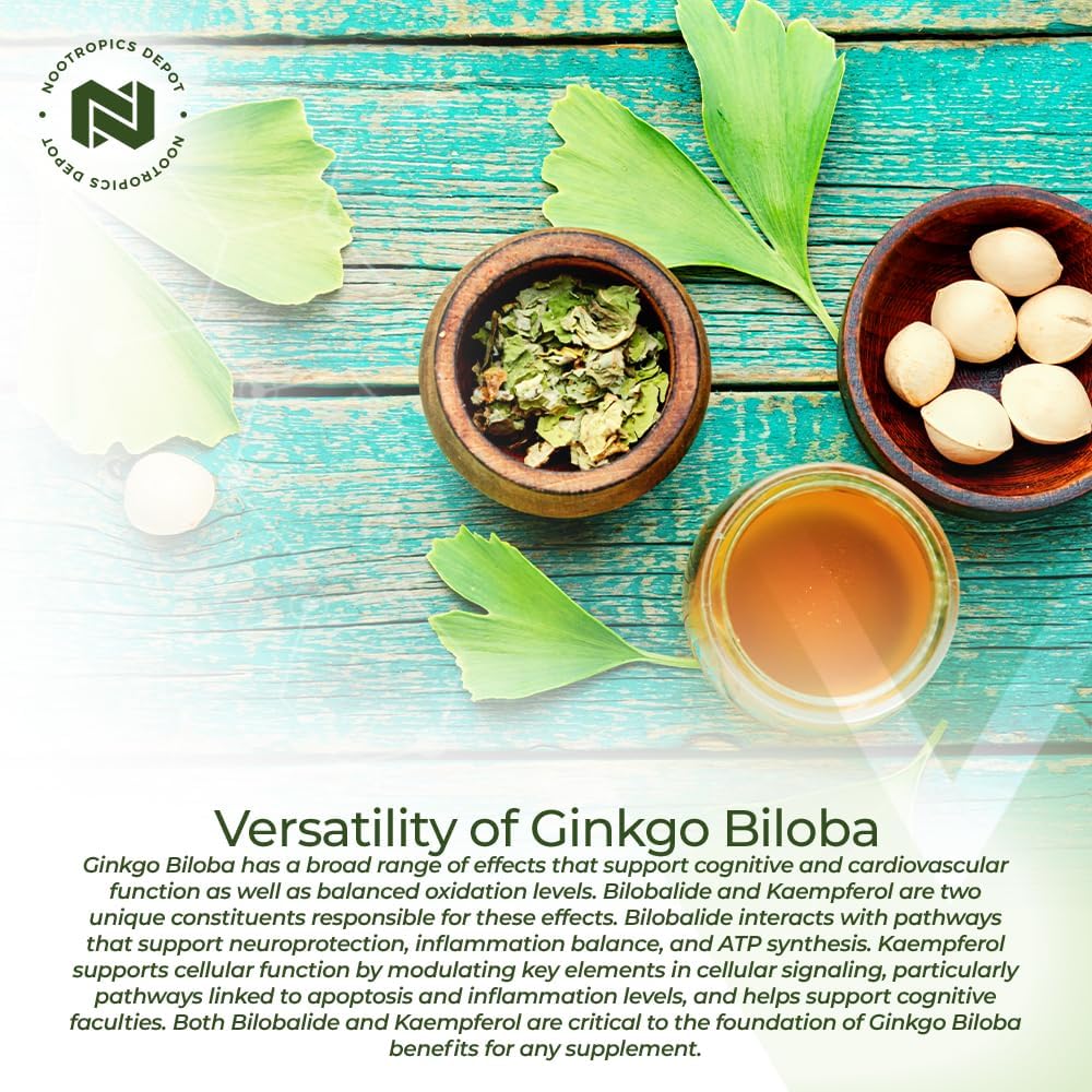 Ginkgo Biloba Extract Tablets - 120mg - 90 Count - 10% Kaempferol Glycoside + 2% Bilobalide - Support Cognitive & Cardiovascular Health