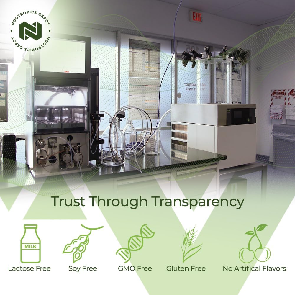 Ginkgo Biloba Extract Tablets - 120mg - 90 Count - 10% Kaempferol Glycoside + 2% Bilobalide - Support Cognitive & Cardiovascular Health