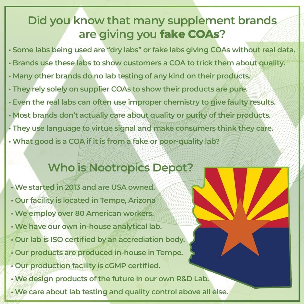 Ginkgo Biloba Extract Tablets - 120mg - 90 Count - 10% Kaempferol Glycoside + 2% Bilobalide - Support Cognitive & Cardiovascular Health