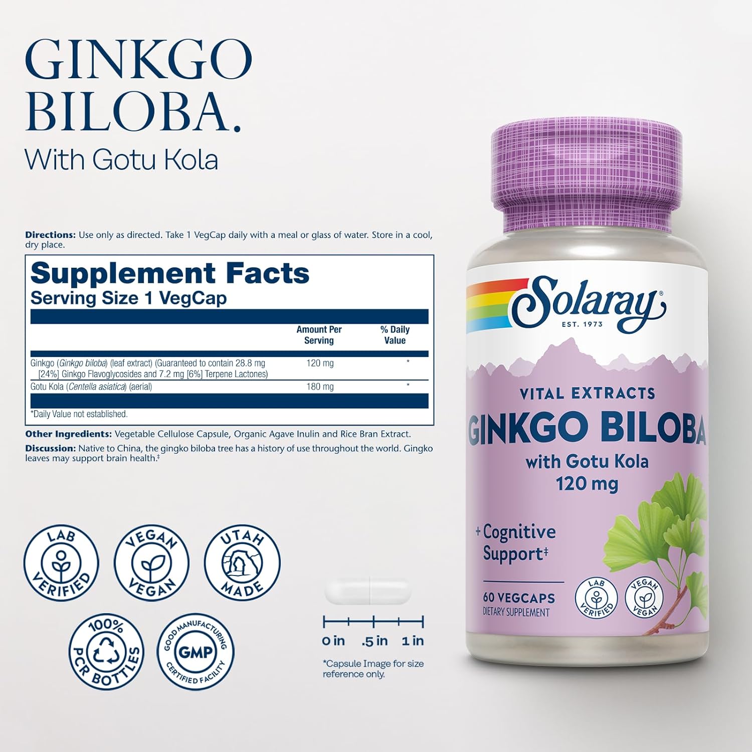 Ginkgo Biloba Extract with Gotu Kola Capsules for Brain Health Support - Vegan, Lab Verified - 60 Servings, 60 VegCaps - 60-Day Guarantee