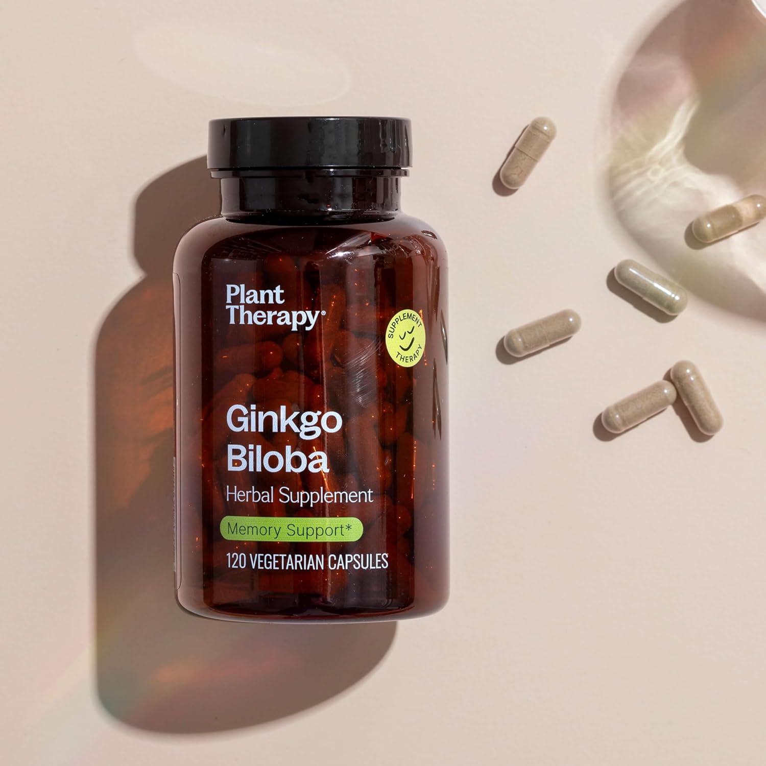Ginkgo Biloba Herbal Supplement Capsules for Memory & Cognitive Function - 120 Vegetarian Capsules - USA Made - Antioxidant-Rich - Plant Therapy