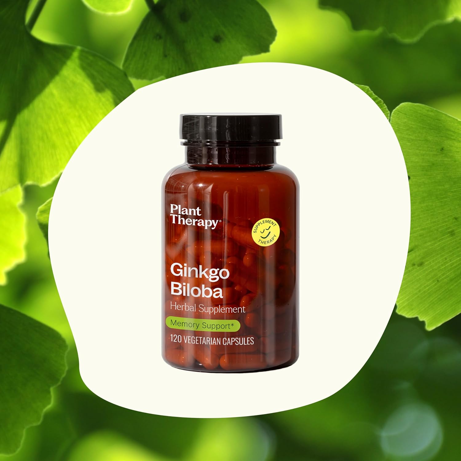 Ginkgo Biloba Herbal Supplement Capsules for Memory & Cognitive Function - 120 Vegetarian Capsules - USA Made - Antioxidant-Rich - Plant Therapy