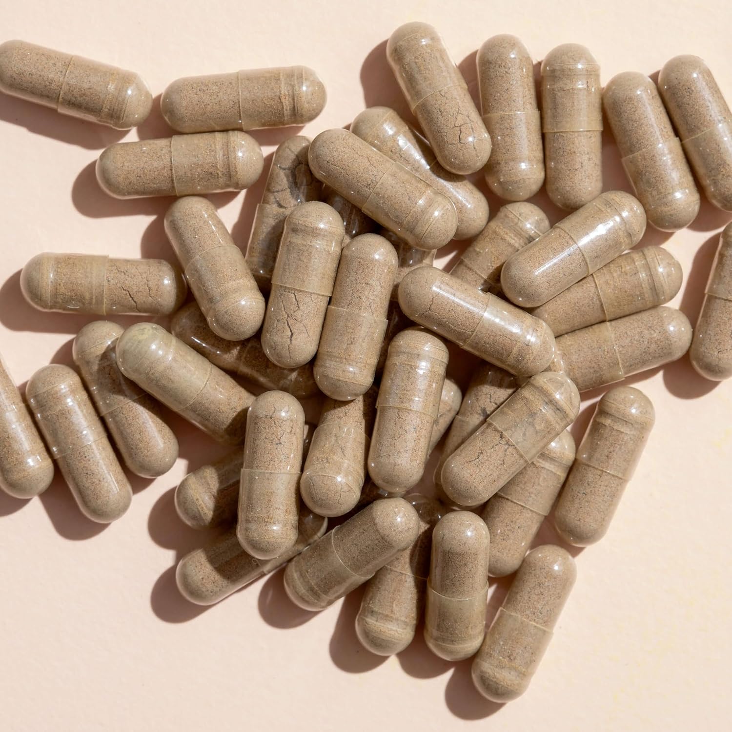 Ginkgo Biloba Herbal Supplement Capsules for Memory & Cognitive Function - 120 Vegetarian Capsules - USA Made - Antioxidant-Rich - Plant Therapy