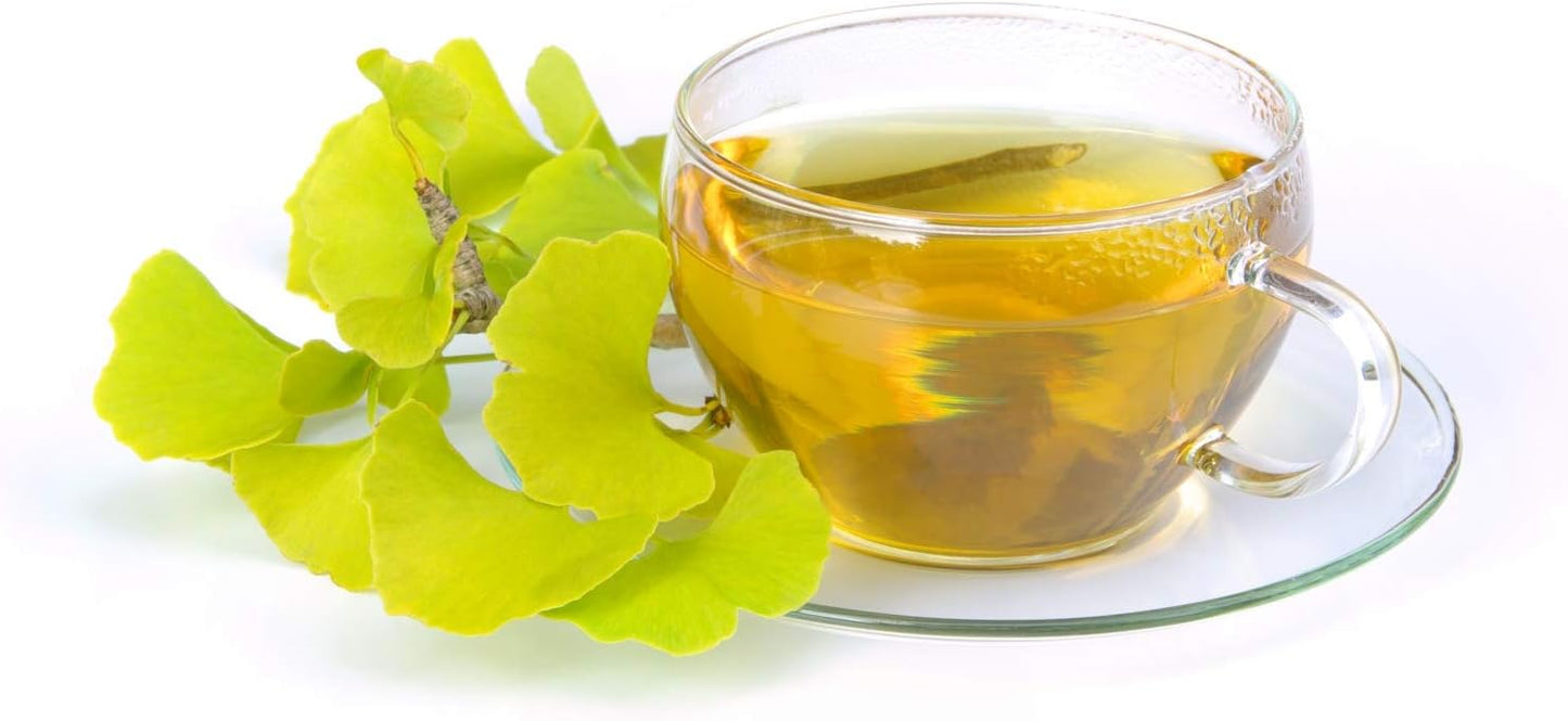 Ginkgo Biloba Leaf Herbal Tea | Health Embassy | 50g Bag