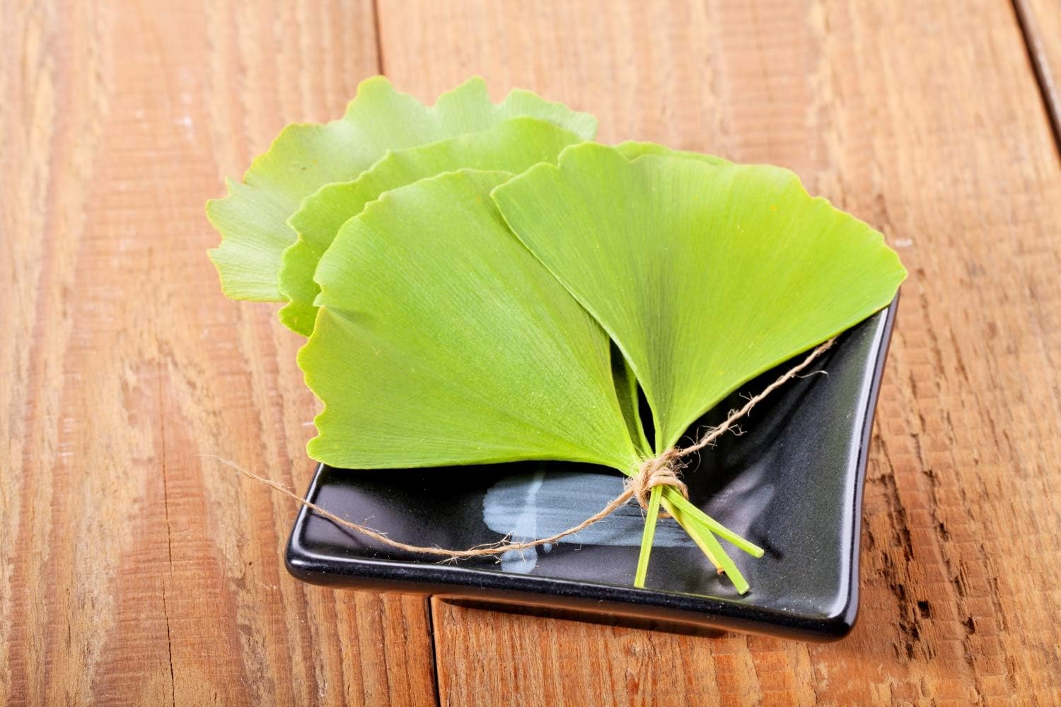 Ginkgo Biloba Leaf Herbal Tea | Health Embassy | 50g Bag