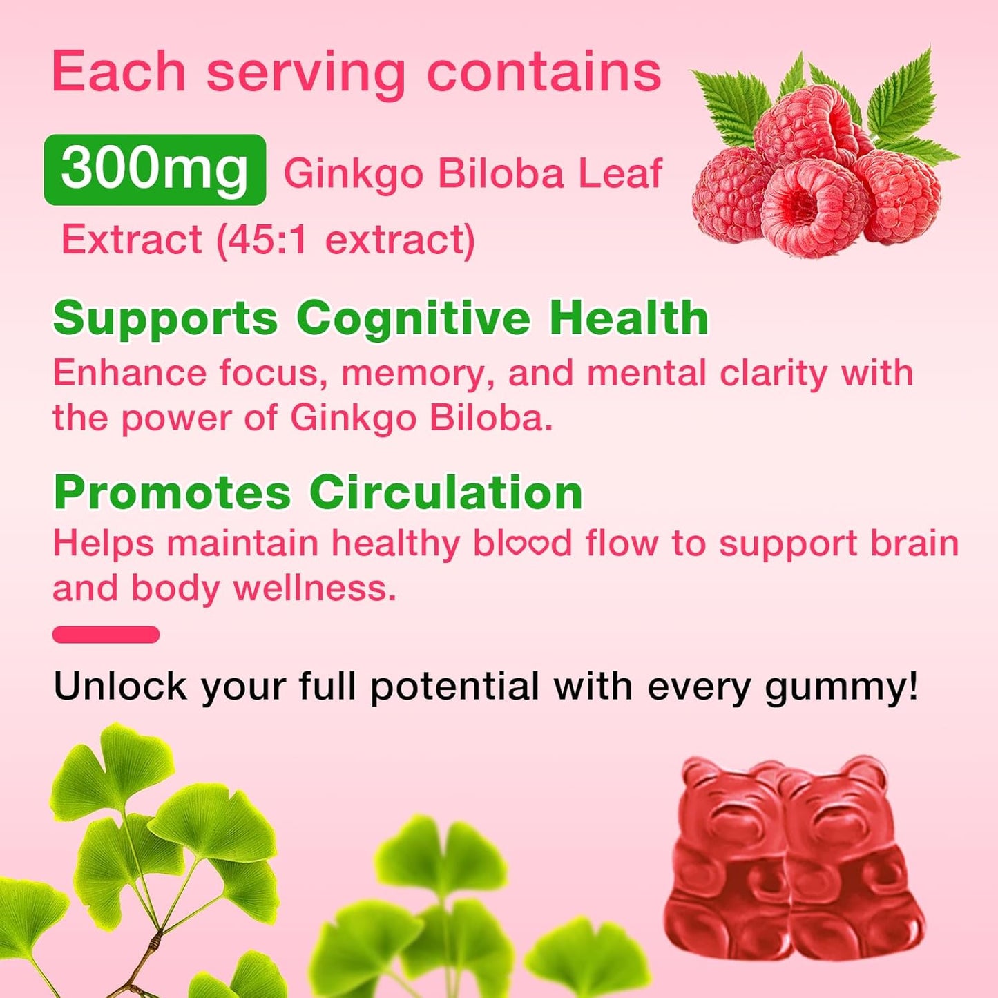Ginkgo Biloba & Panax Ginseng Gummies for Focus & Memory - 2 Pack, Vegan Raspberry Flavor, 120 Count - Brain Health Supplements for Adults & Kids