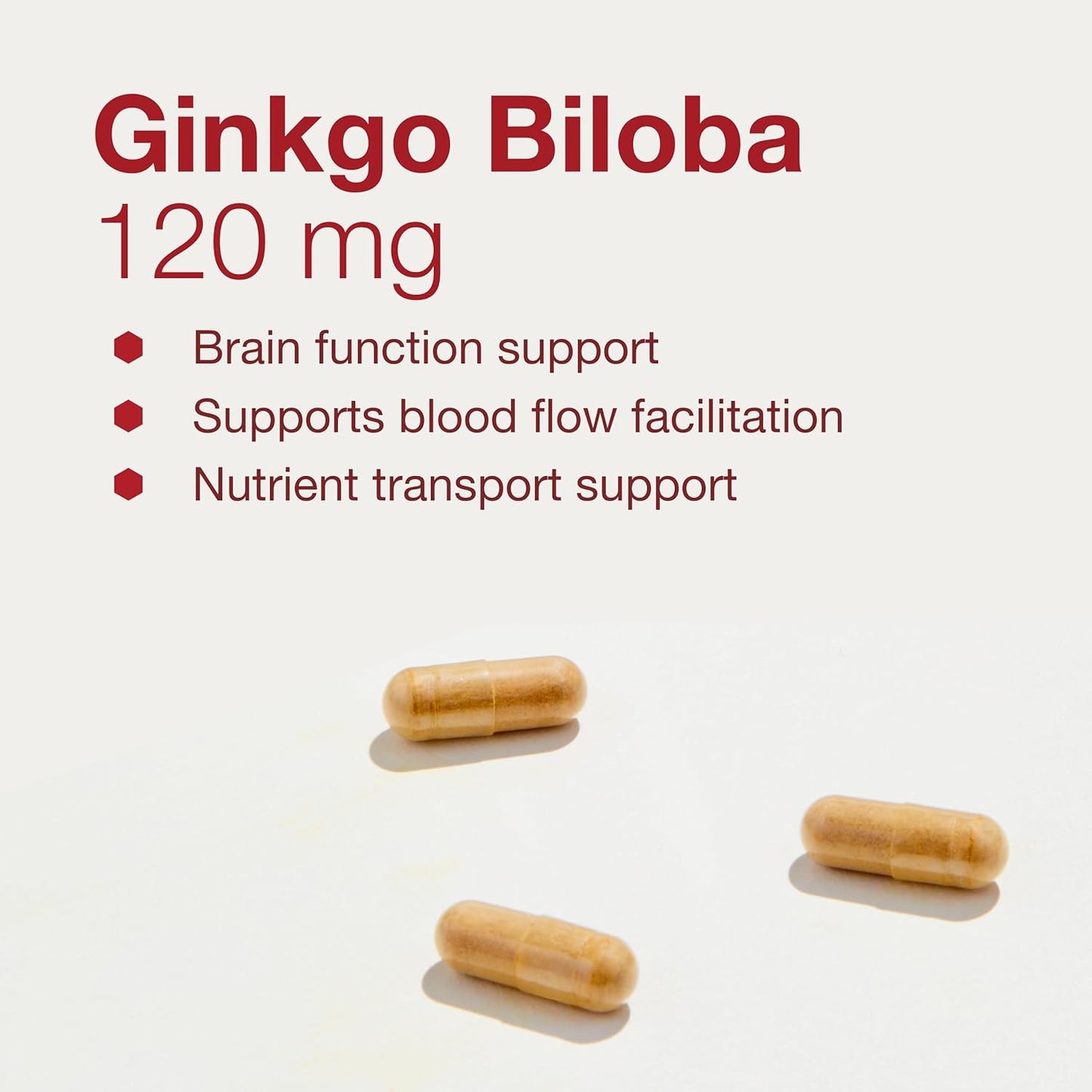 Ginkgo Biloba Protocol Capsules for Brain Health & Circulation Support - 120mg Extract with Eleuthero - Non-GMO & Dairy Free - 100 Veg Caps