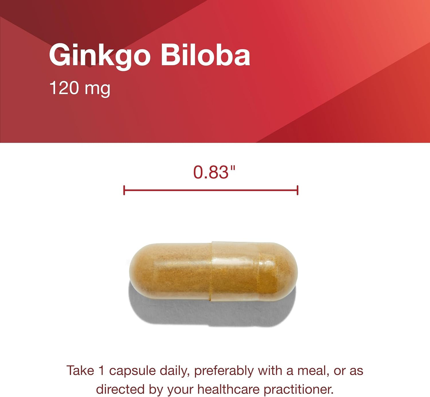 Ginkgo Biloba Protocol Capsules for Brain Health & Circulation Support - 120mg Extract with Eleuthero - Non-GMO & Dairy Free - 100 Veg Caps
