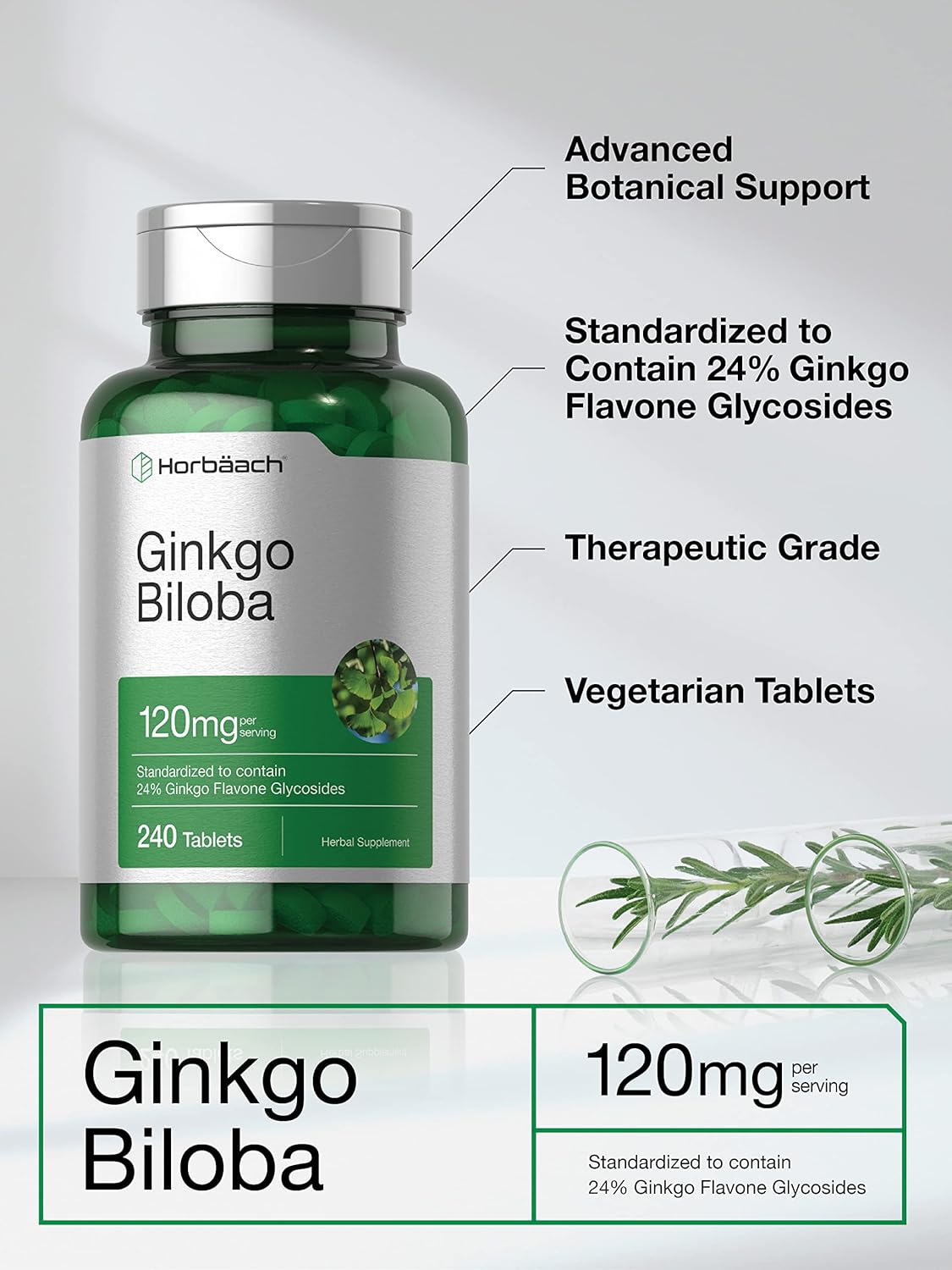 Ginkgo Biloba Supplement 120mg | 240 Tablets | Herbal Extract | Flavone Glycosides | Vegetarian, Non-GMO, Gluten Free