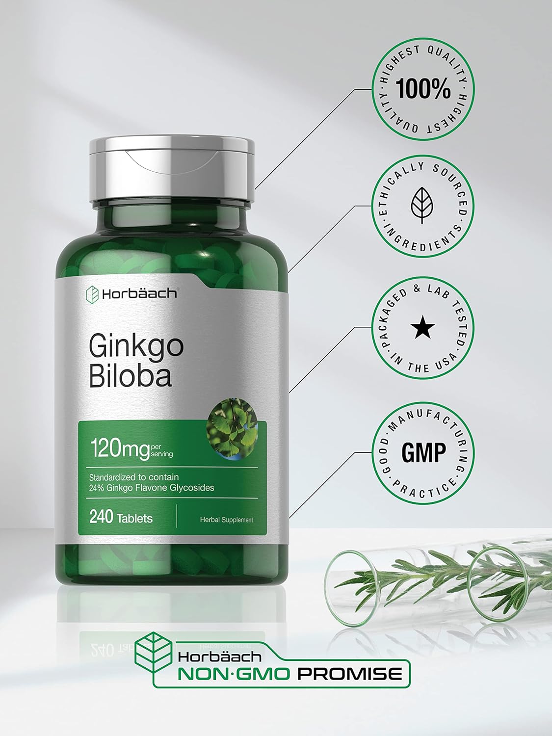 Ginkgo Biloba Supplement 120mg | 240 Tablets | Herbal Extract | Flavone Glycosides | Vegetarian, Non-GMO, Gluten Free